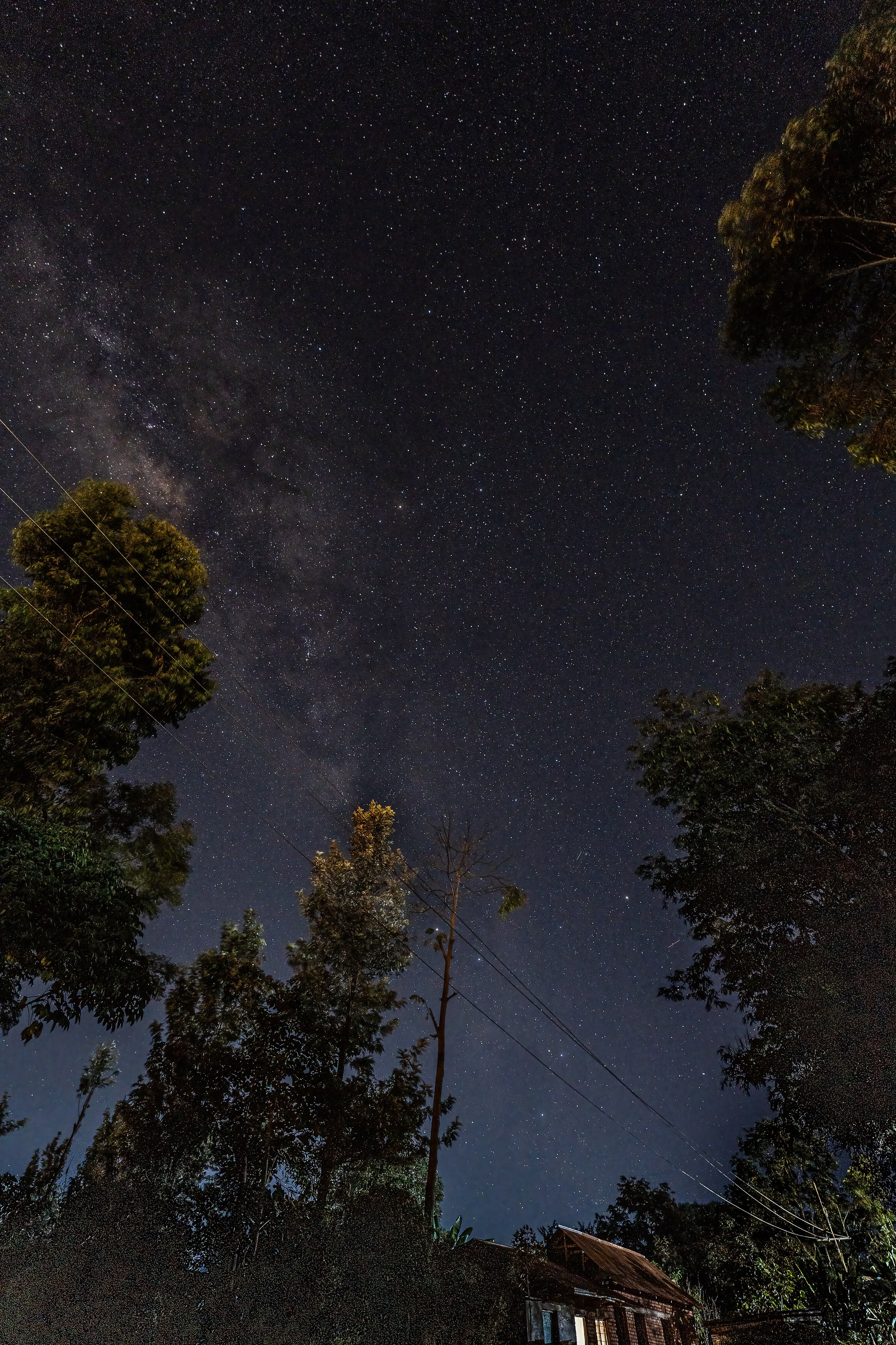 Танзания, сафари, 2025. Творческие сьемки