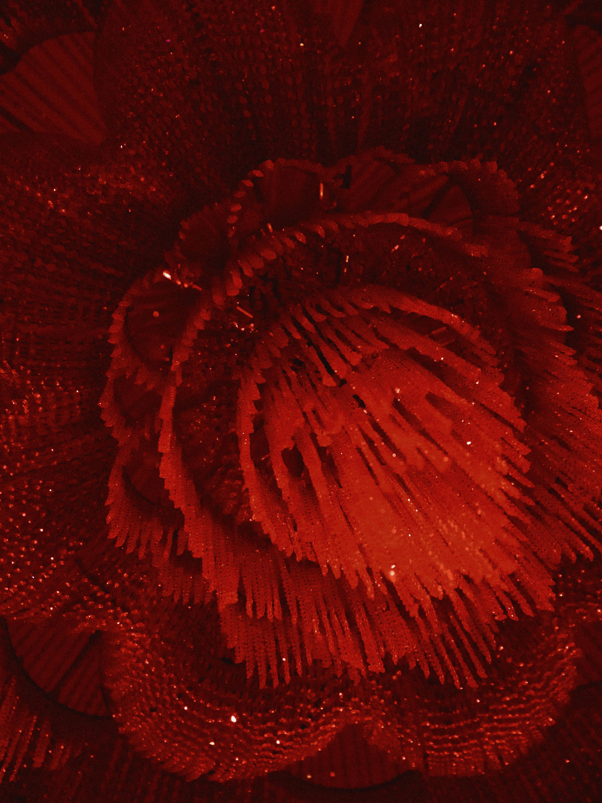 9 кругов. Вадим Зименков