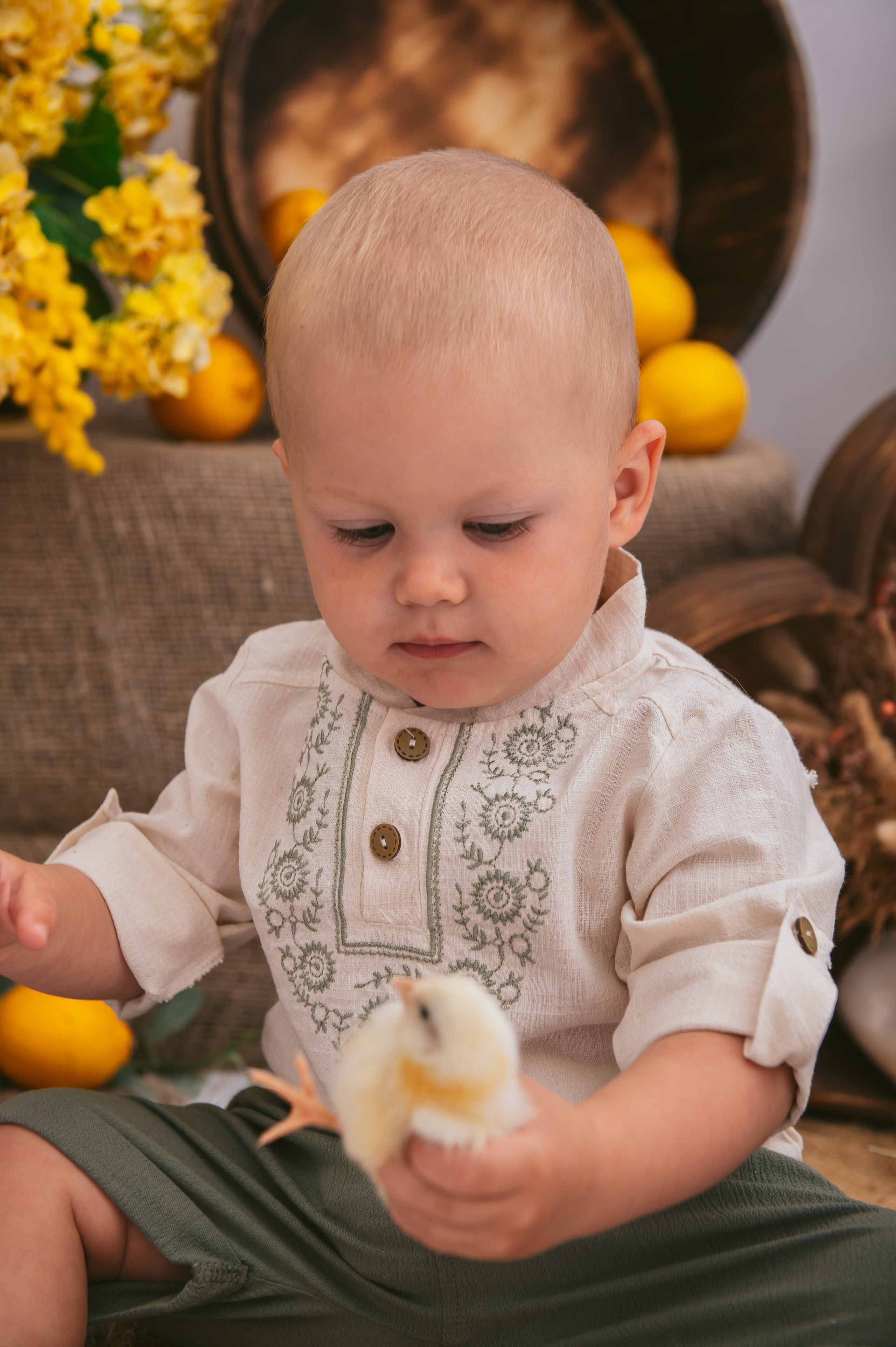 Цыплята. Детский фотограф Магадан