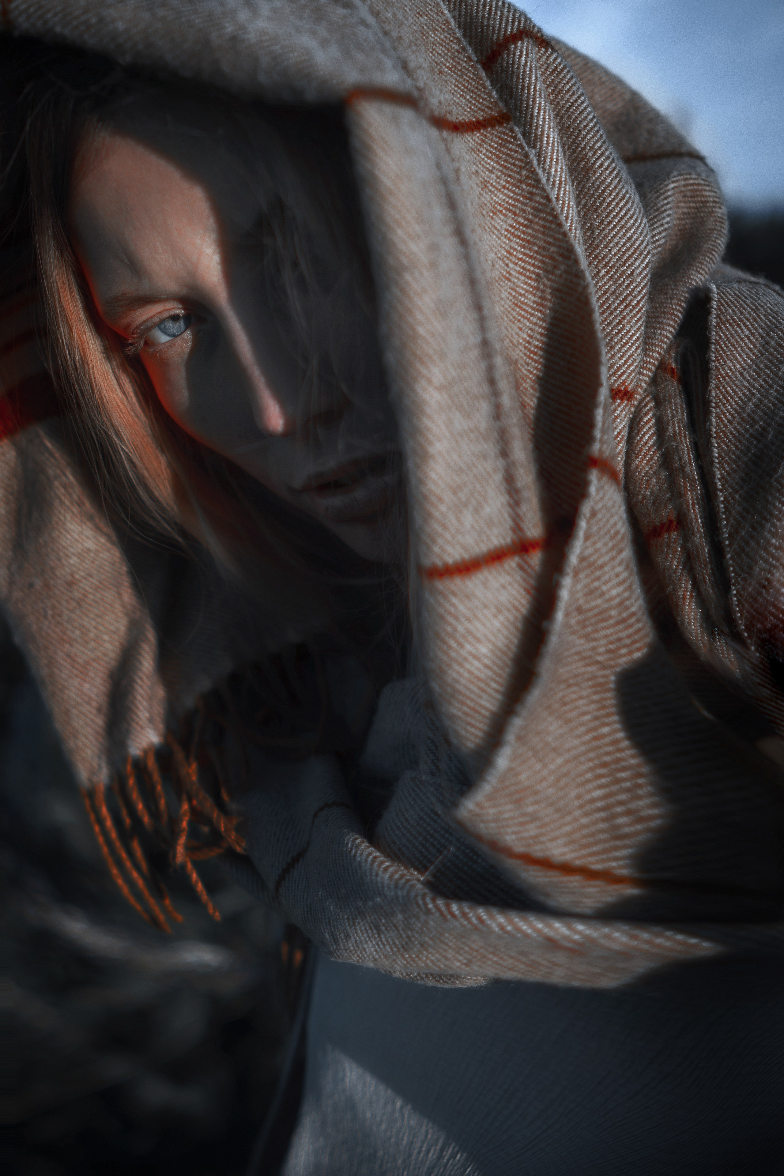 LUPINUS ALBUS. Sergey,kuzichev