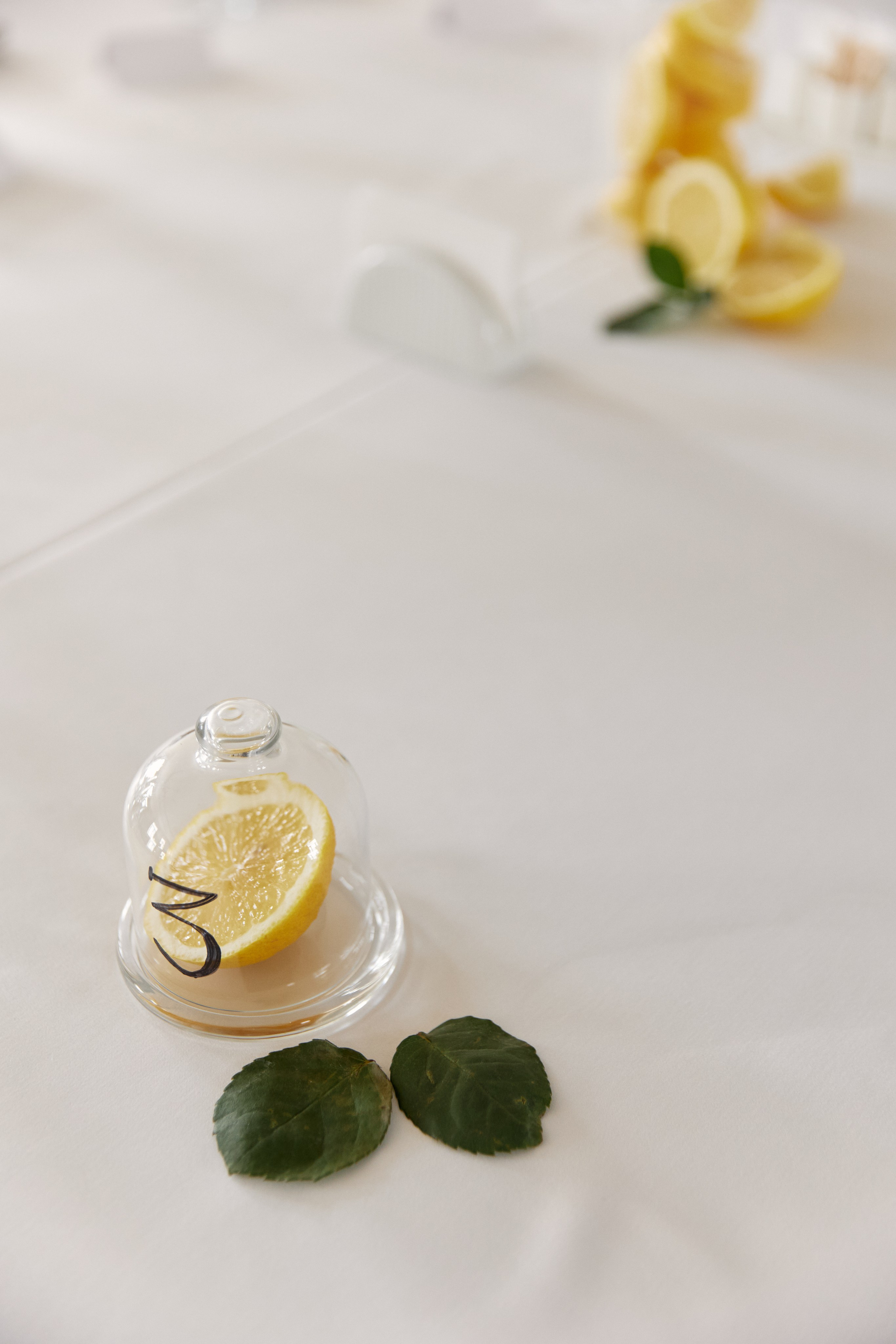 Анастасия & Михаил. Фотограф и преподаватель по фотографии в Воронеже Олеся Микерова