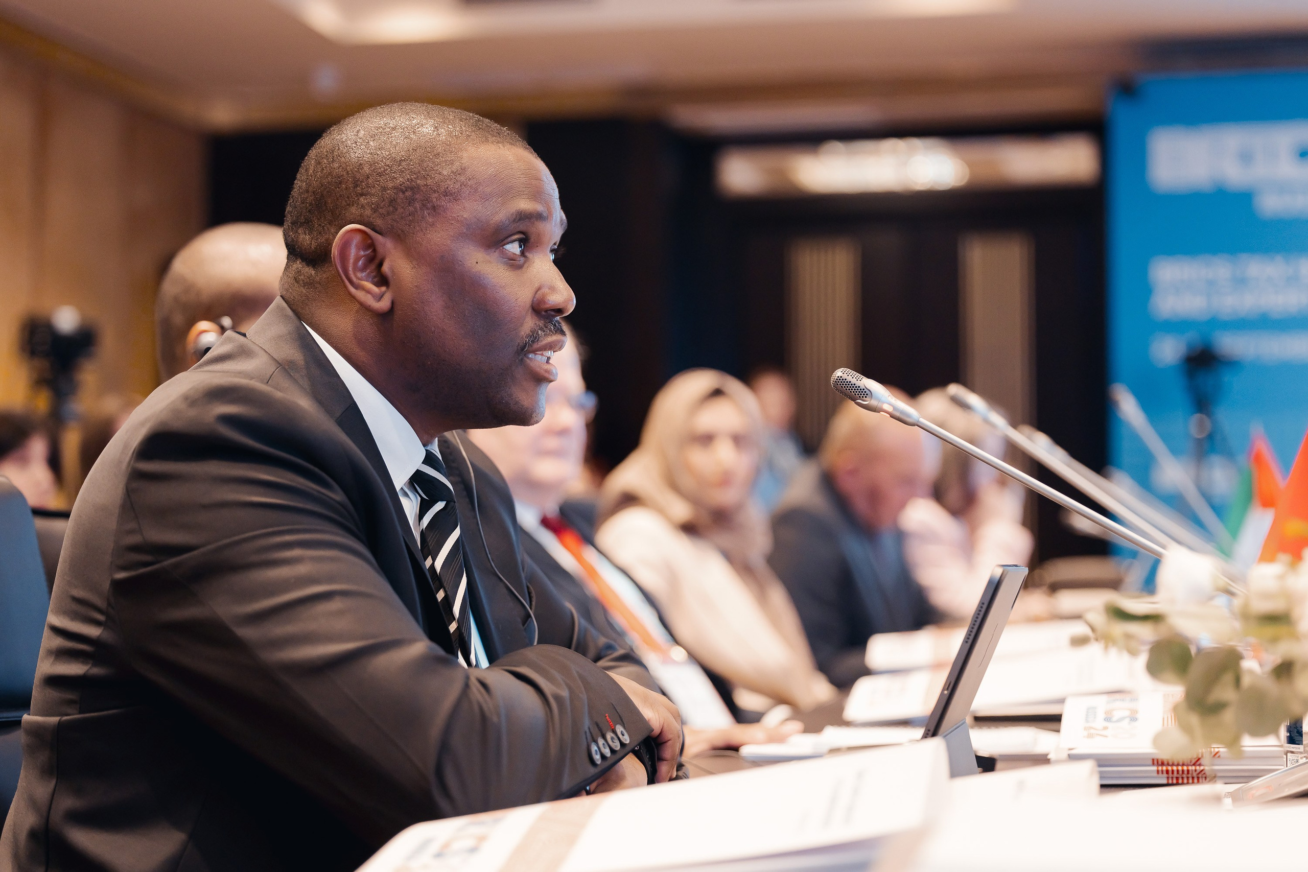 БРИКС ФНС. Parezhevphoto.ru