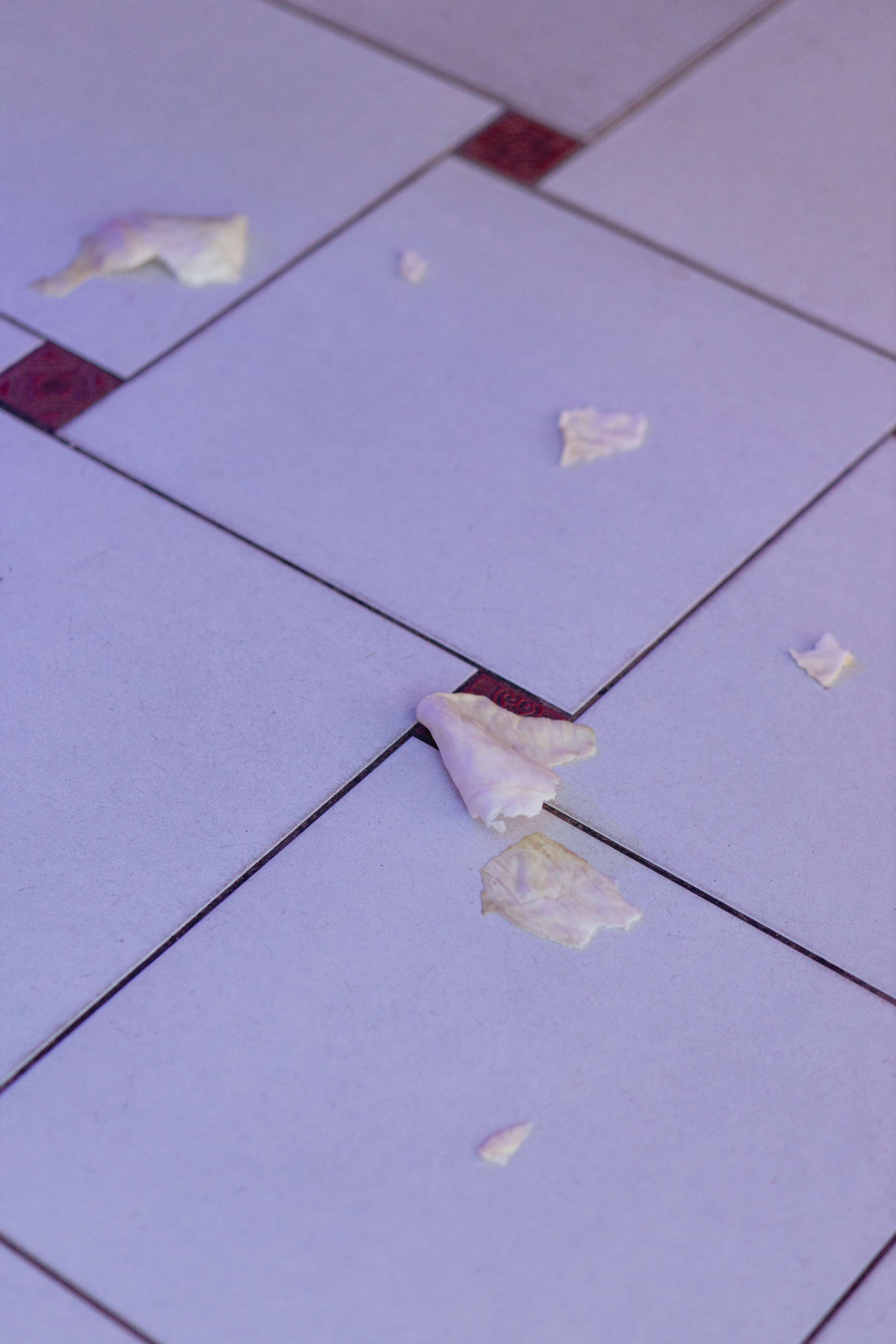 SASHA 30 feat. Кай Метов. Свадебный фотограф в Минске Владислав Бабич