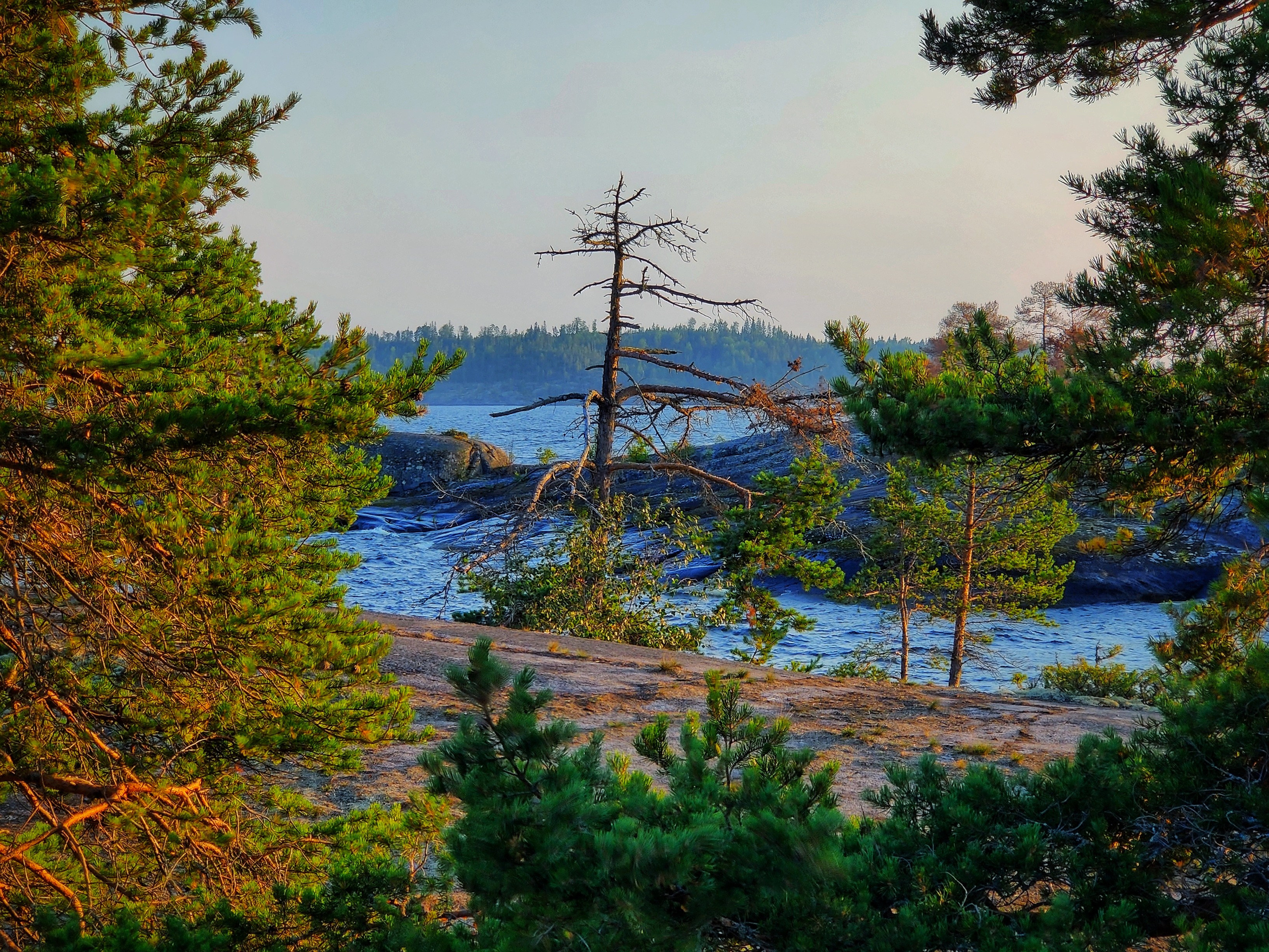 Путешествие по Карелии: Ладожские шхеры, закаты и дикая природа | Летние фото в августе