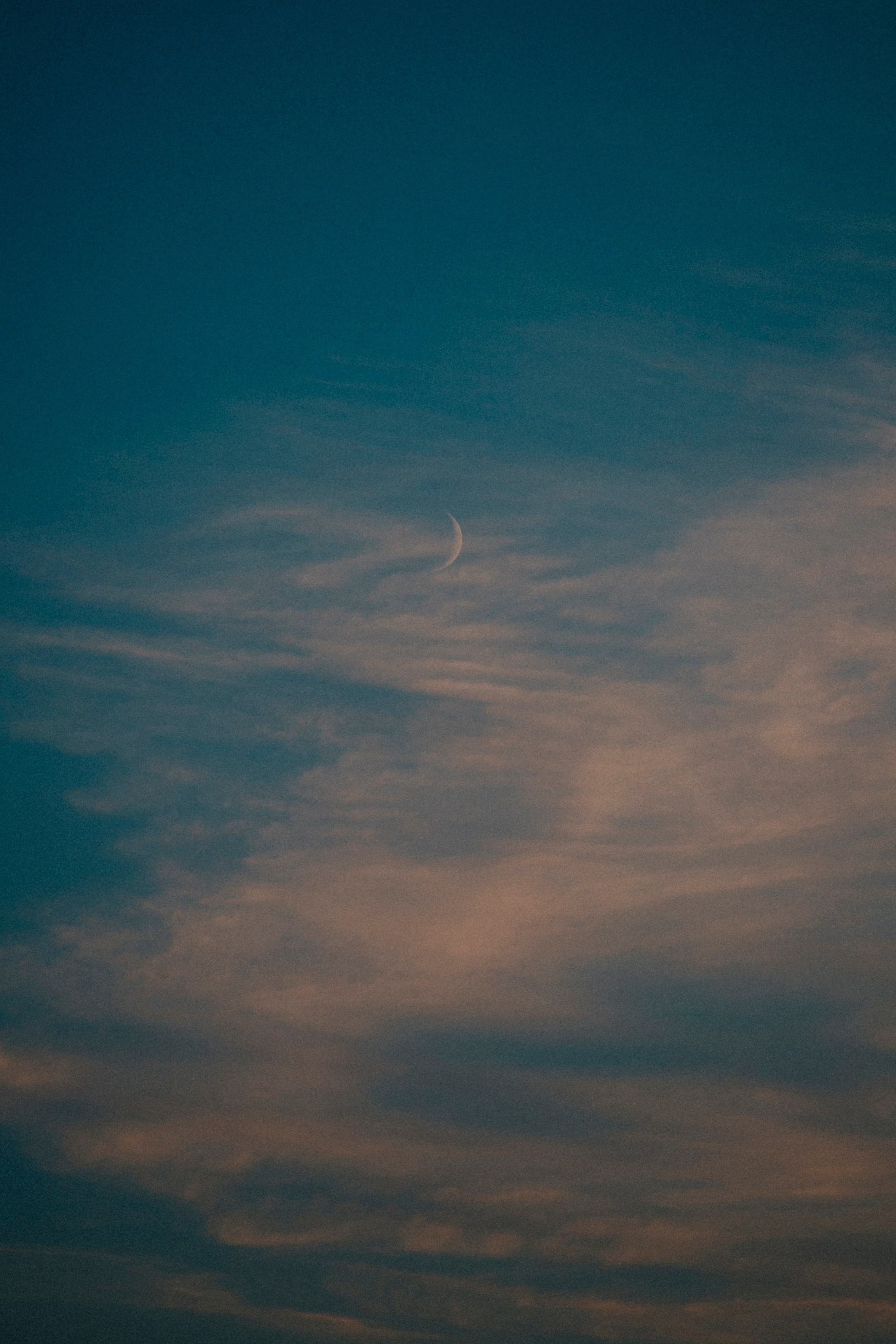 Природа. Команда фотографов Кристины Ивановой