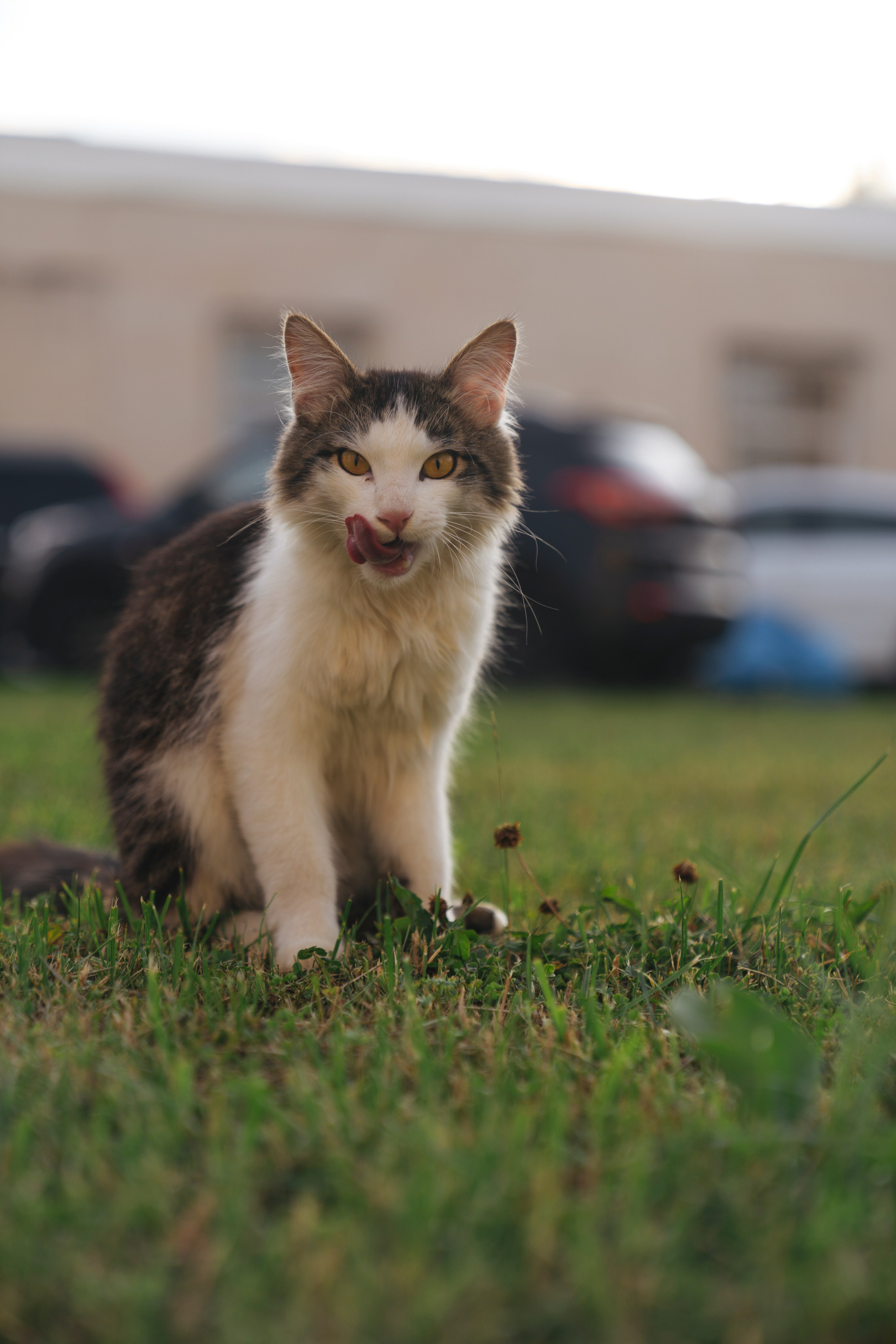 Бизнес слёт. Свадебный фотограф в Москве Кристина Чехова