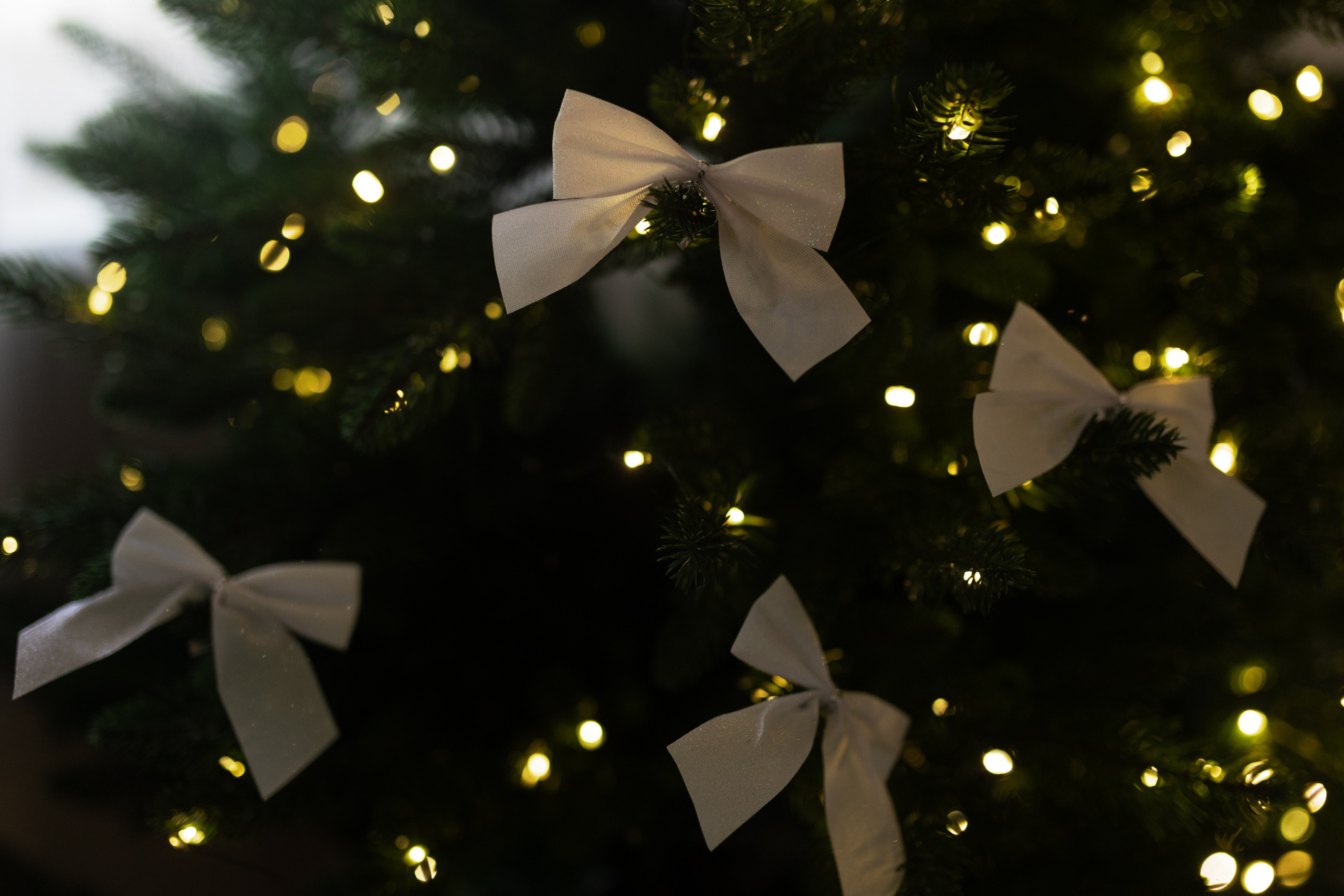 Вера и Ксюша. Фотограф Алина Кучумова