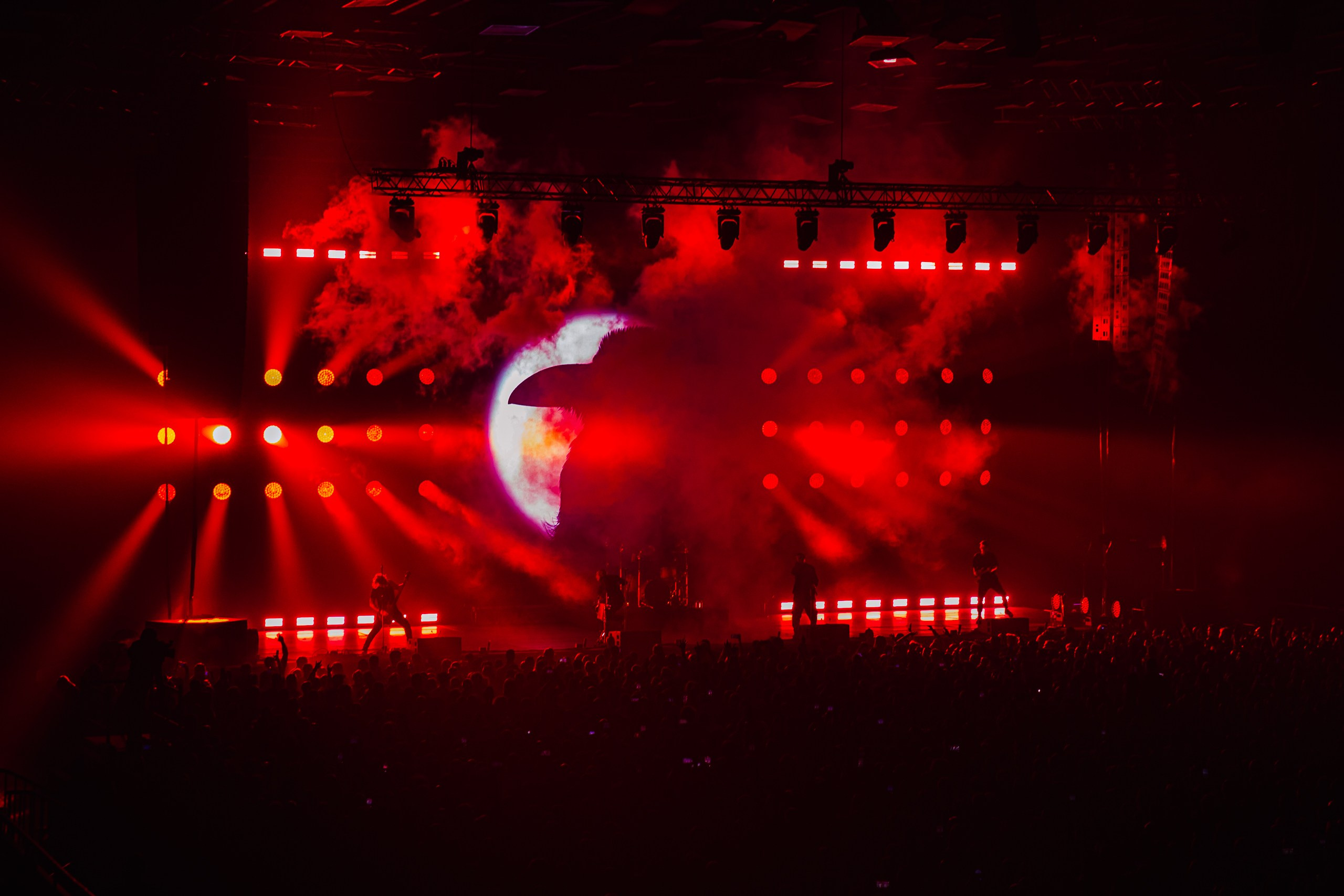 25/17 / САНКТ-ПЕТЕРБУРГ / 2024. OOPS