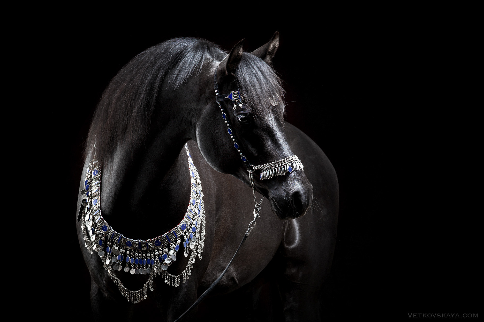 Лошади. Фотограф Анастасия Ветковская, Москва