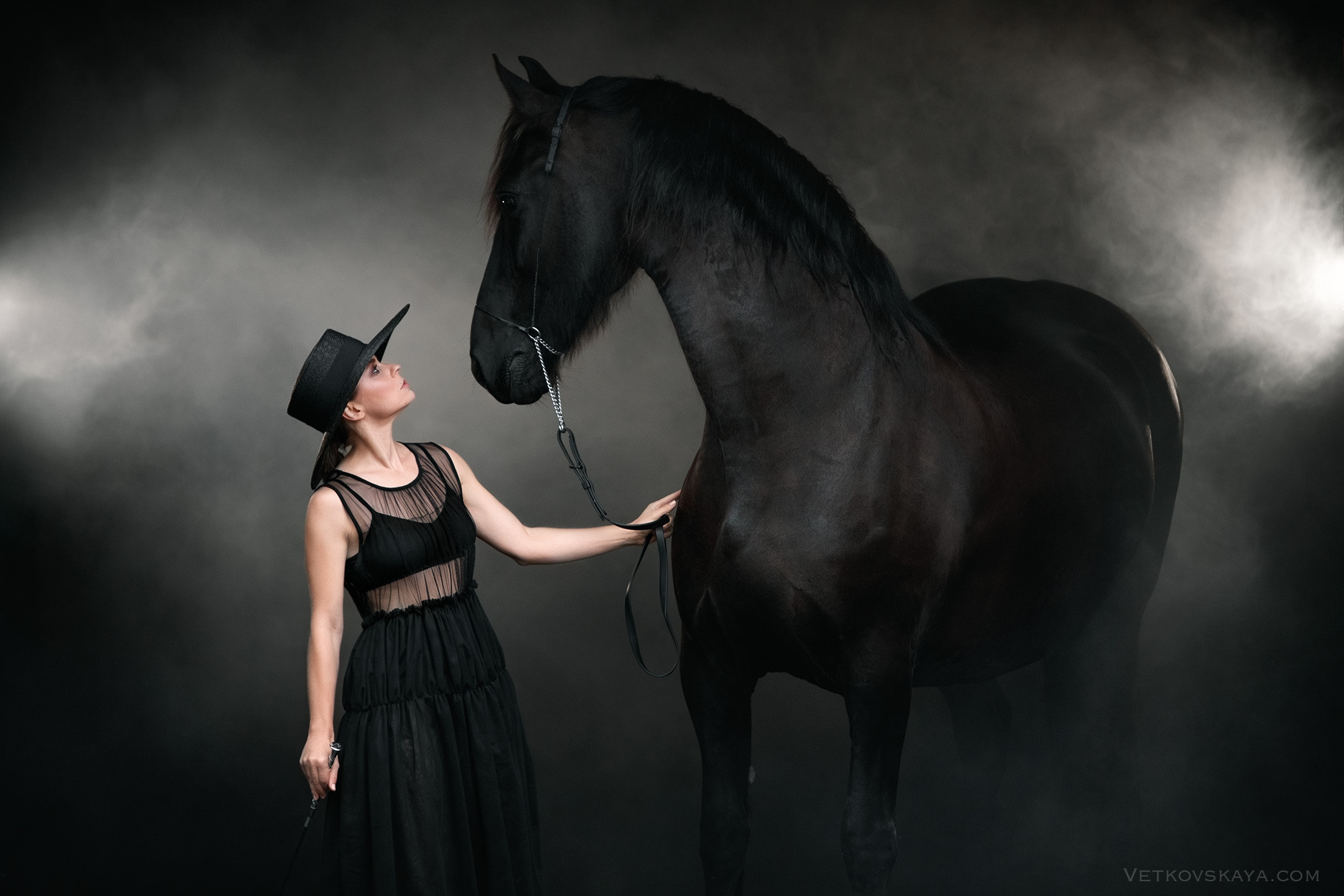 Лошади. Фотограф Анастасия Ветковская, Москва