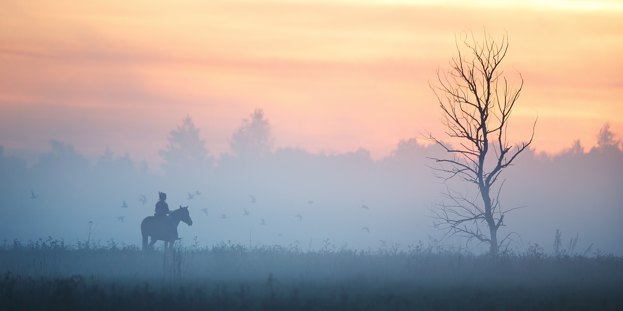 Лошади. Фотограф Анастасия Ветковская, Москва
