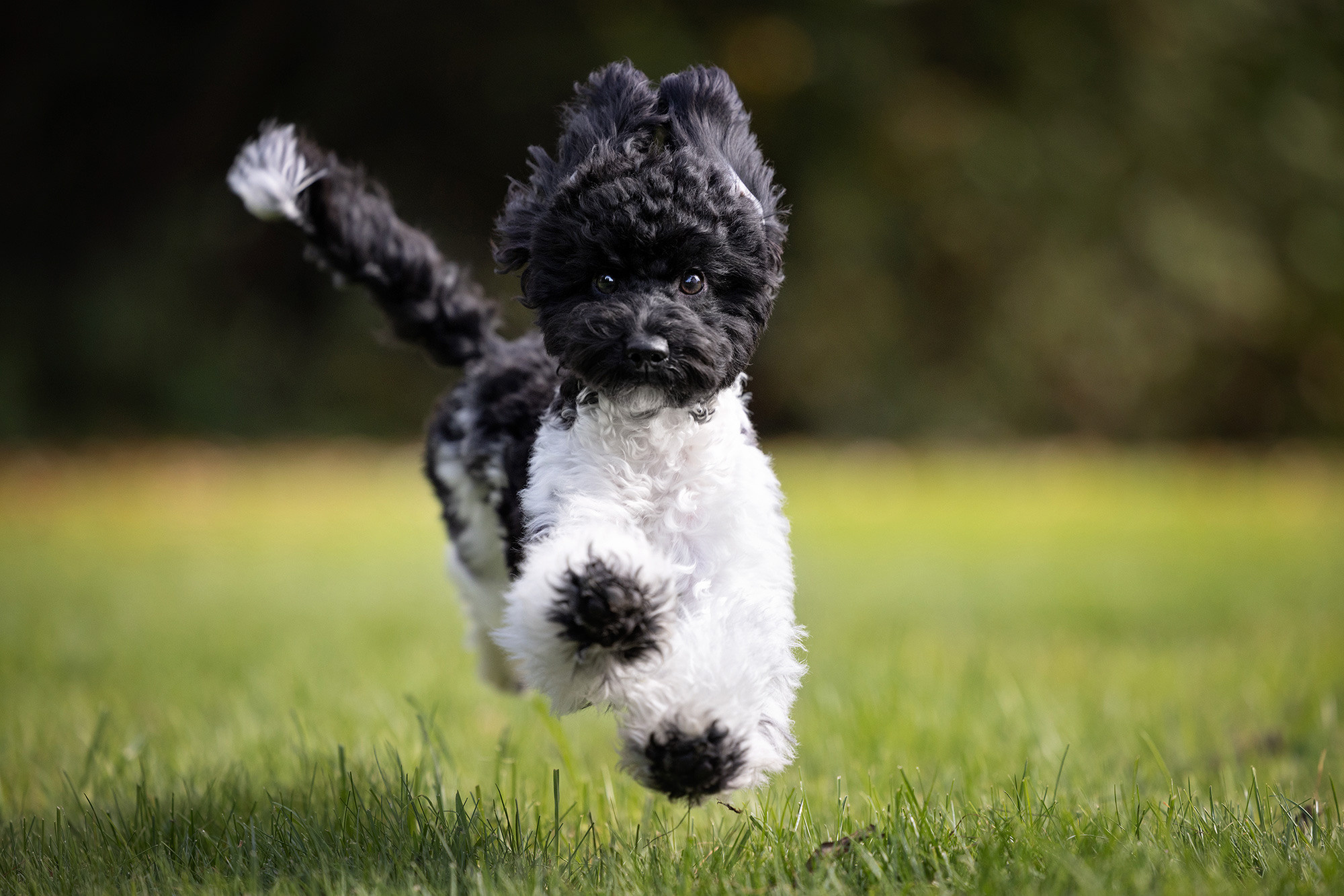 Отзывы. Фотограф Анастасия Ветковская, Москва