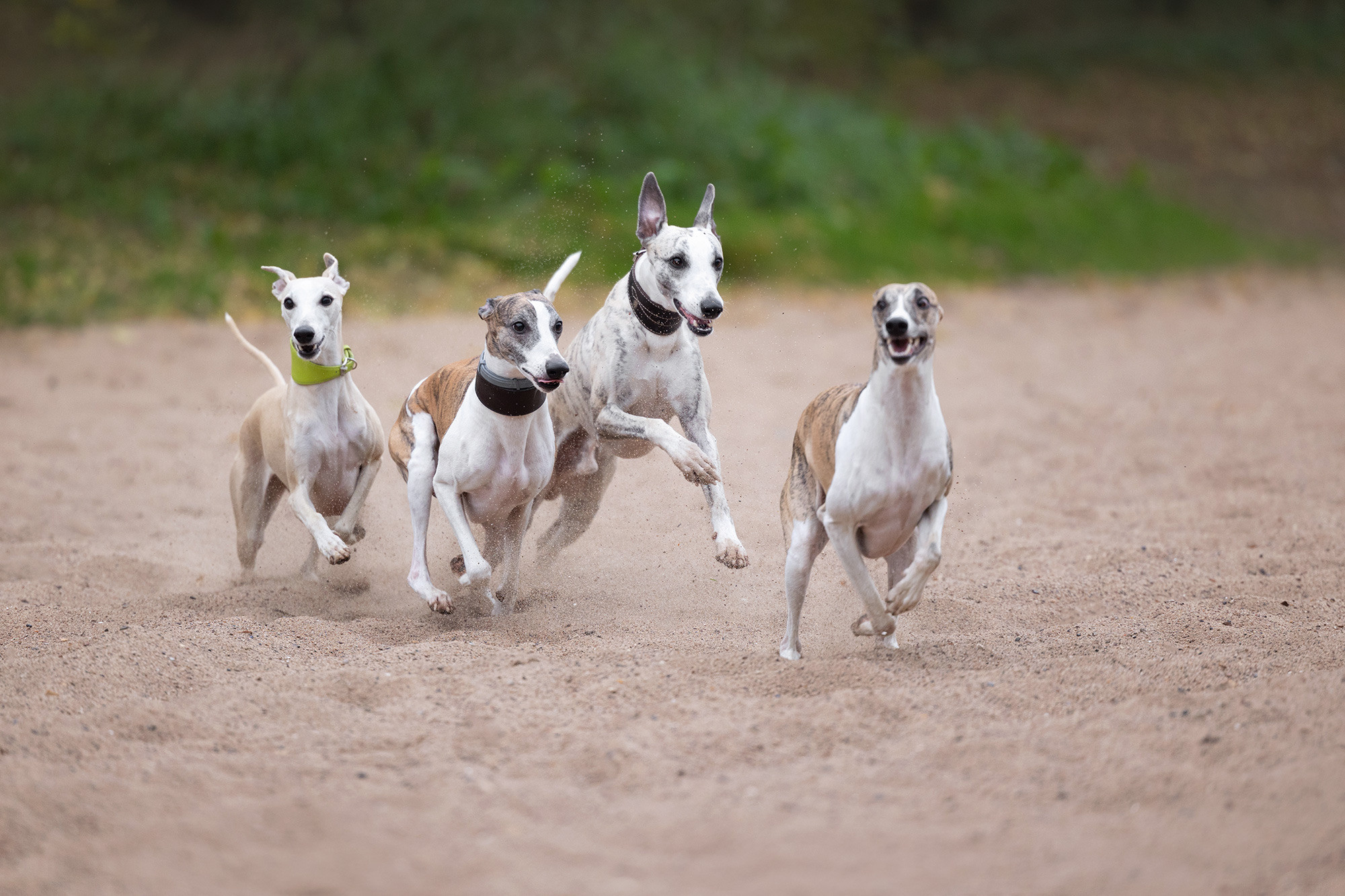 Отзывы. Фотограф Анастасия Ветковская, Москва