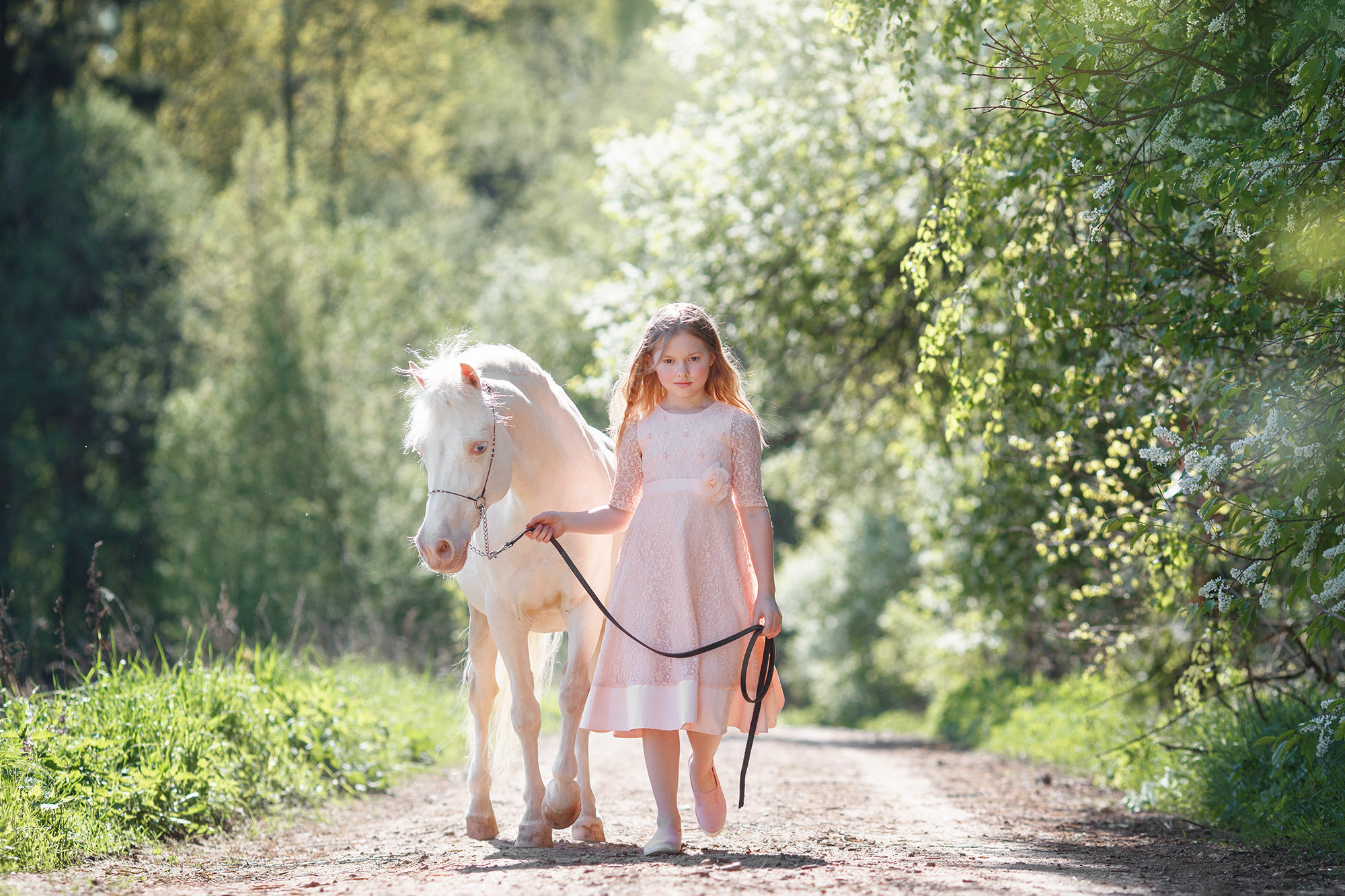 Лошади. Фотограф Анастасия Ветковская, Москва