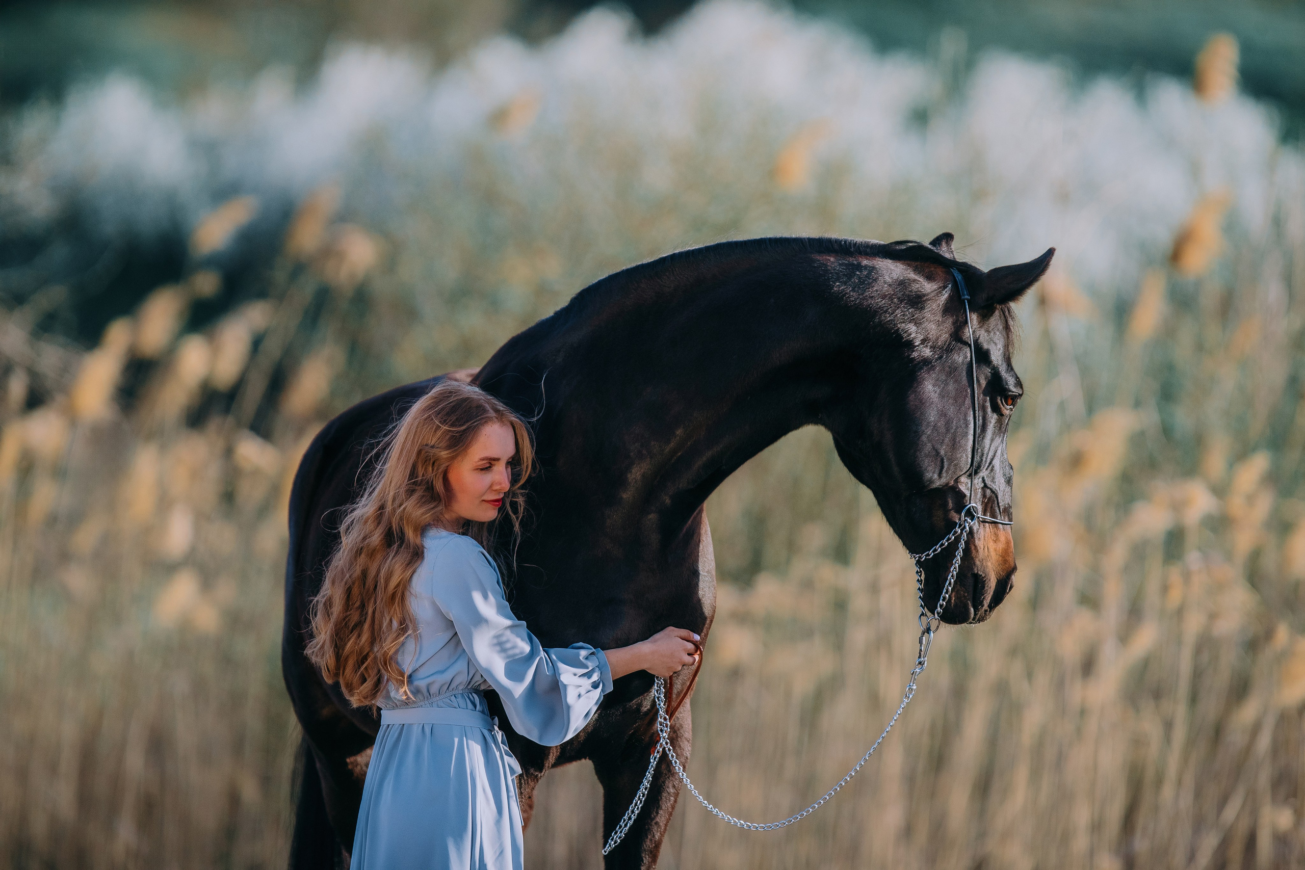 Вероника и Брэй. Фотограф-анималист Ксендзова Кристина