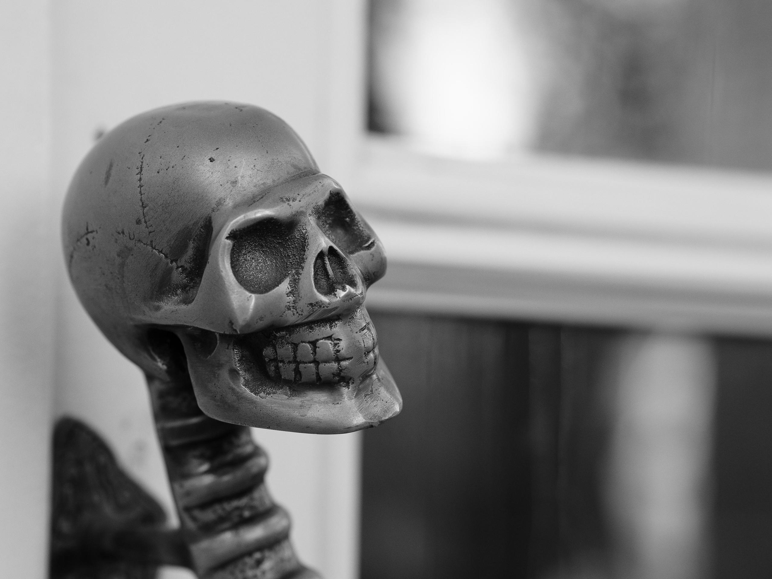 Синергиум. Фотограф Москва