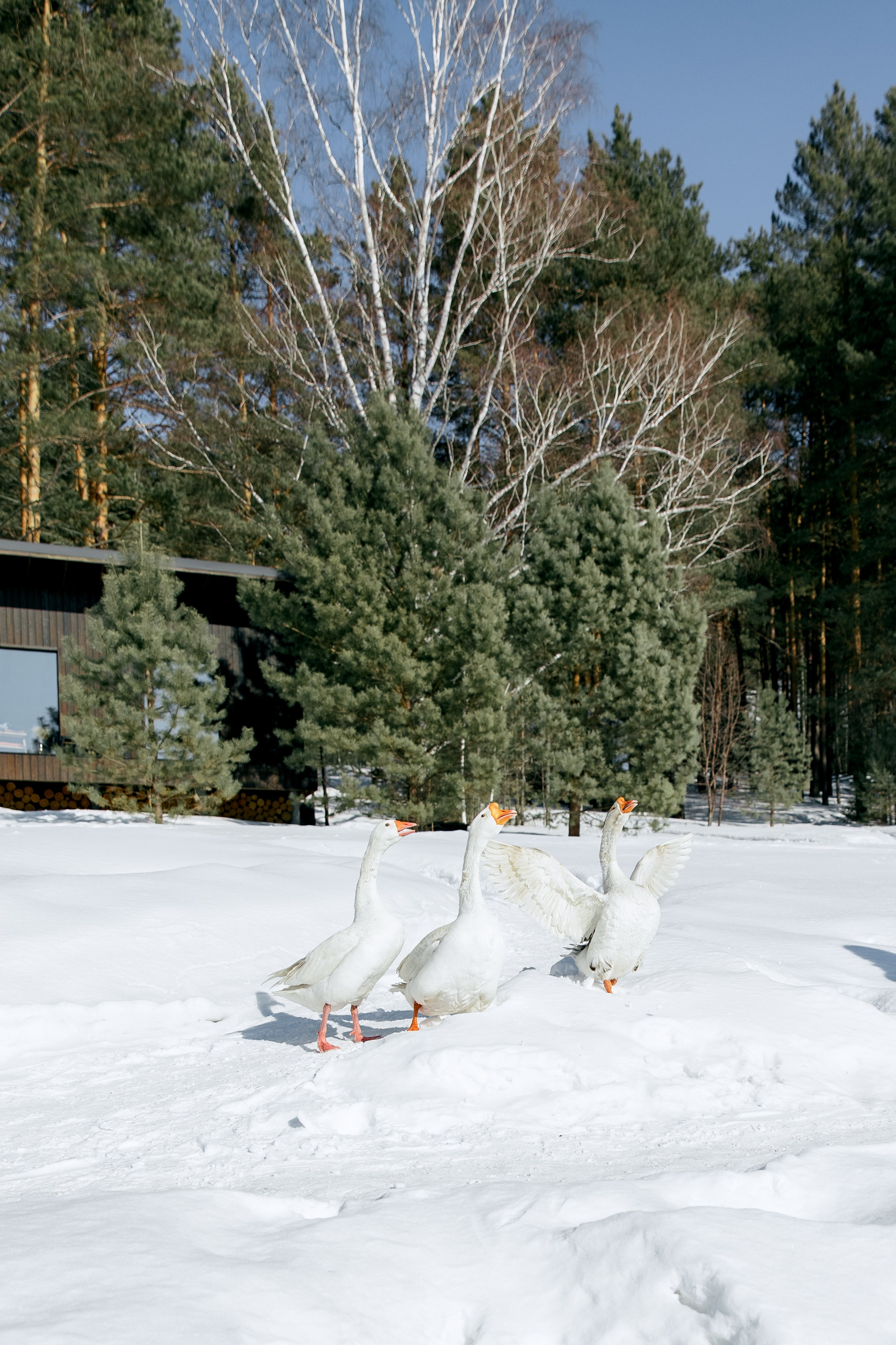 ДЕНЬ ДОЖДЕНИЯ ЕКАТЕРИНЫ. Фотограф в Красноярске