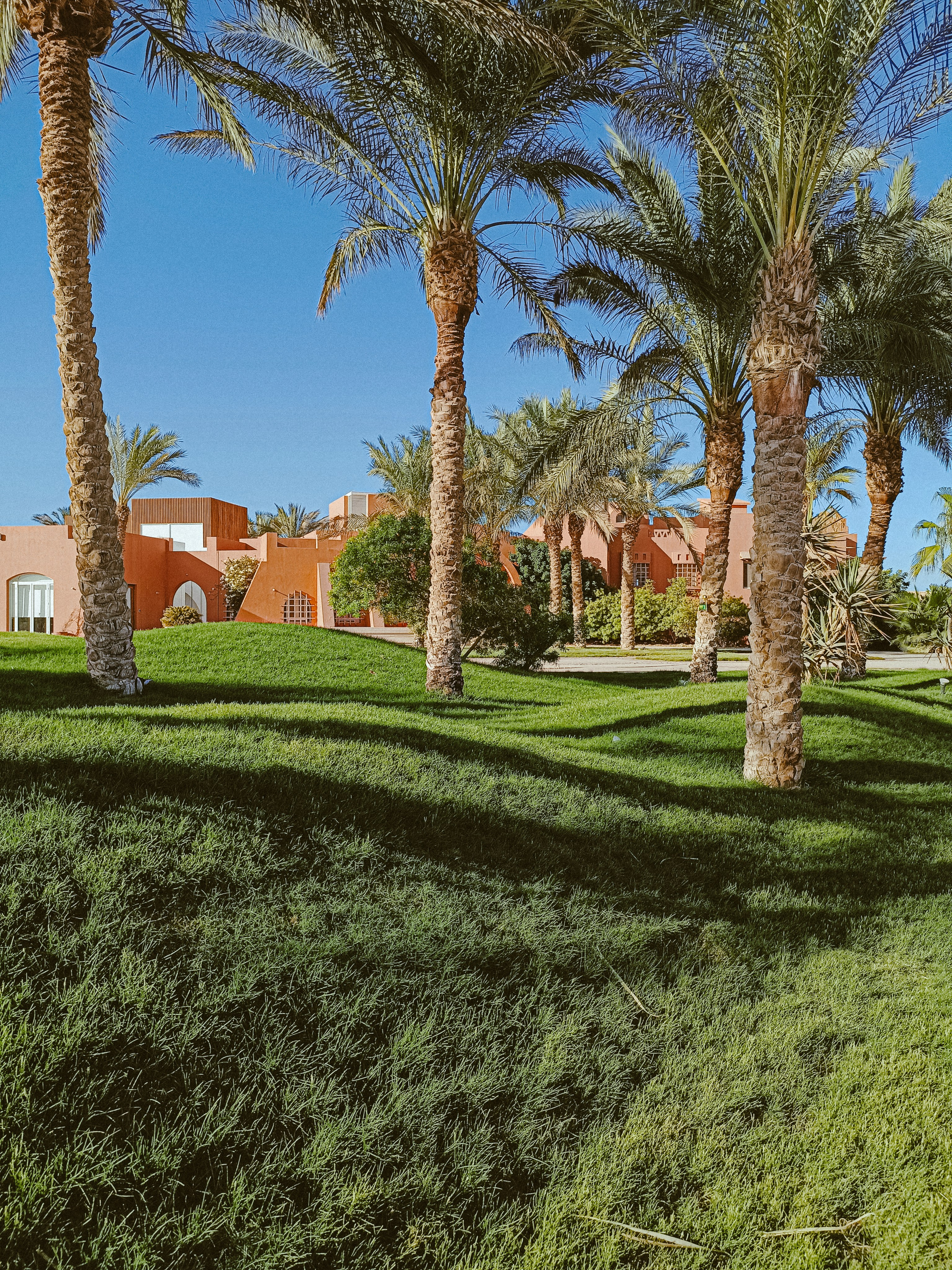 Мобильная. Jorgis — фотограф в Хургаде / обучение фотографии