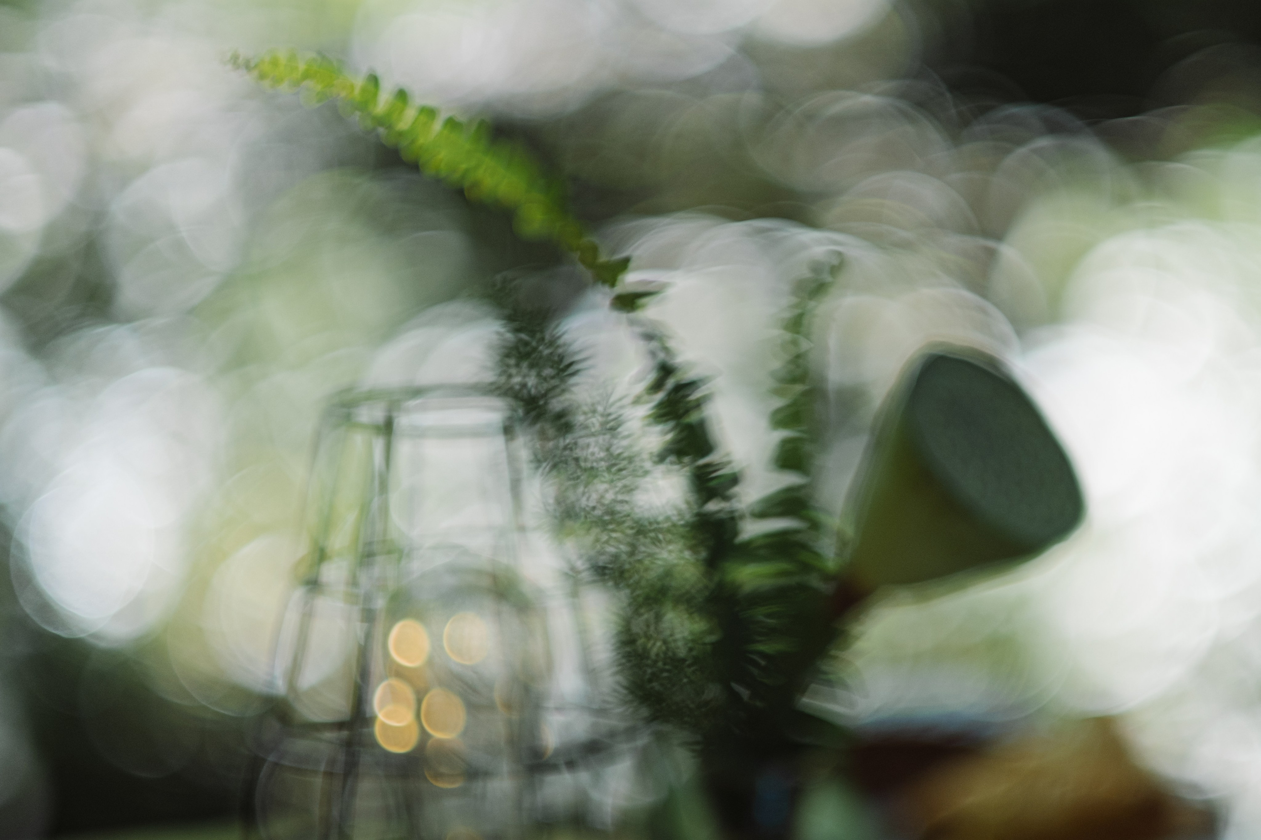 Кот и Дракон. Свадебный Видеограф Фотограф в Сочи