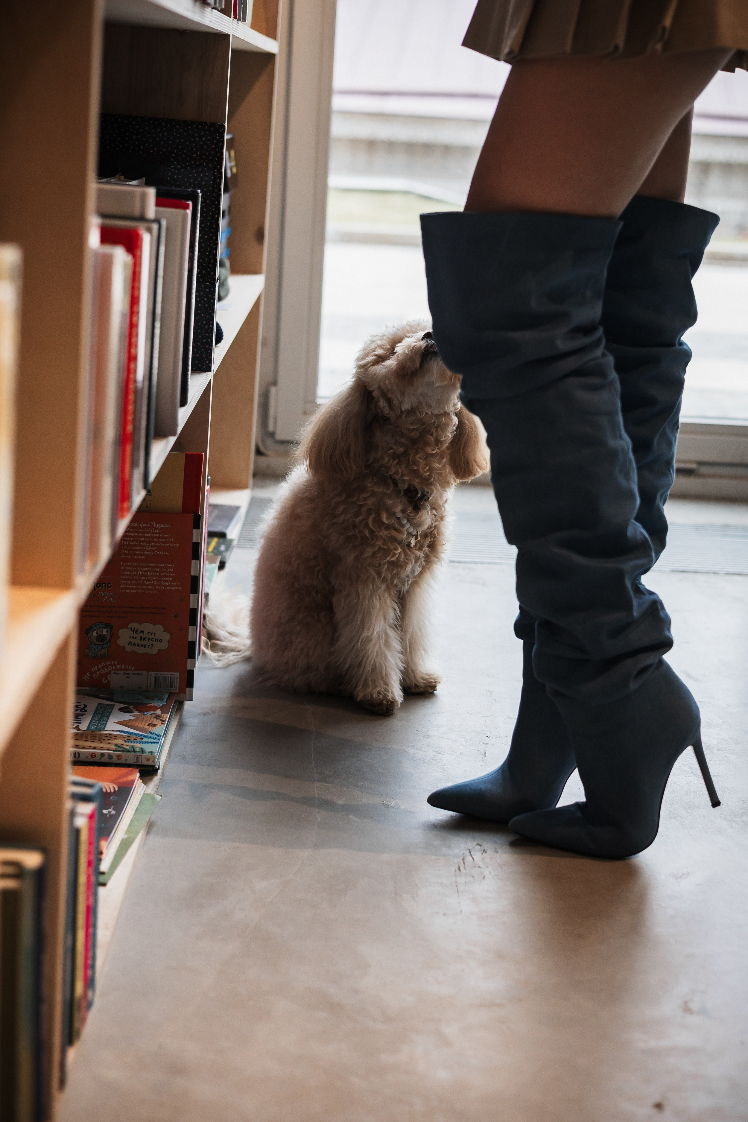 Алина — прогулка