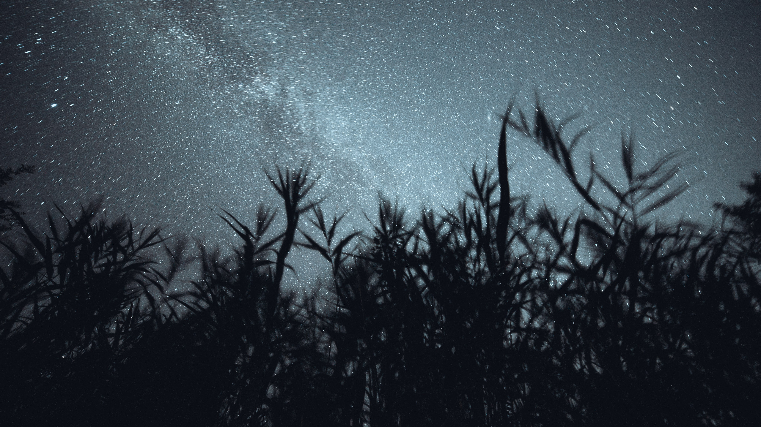 Nature. Артем Корнев Фотограф