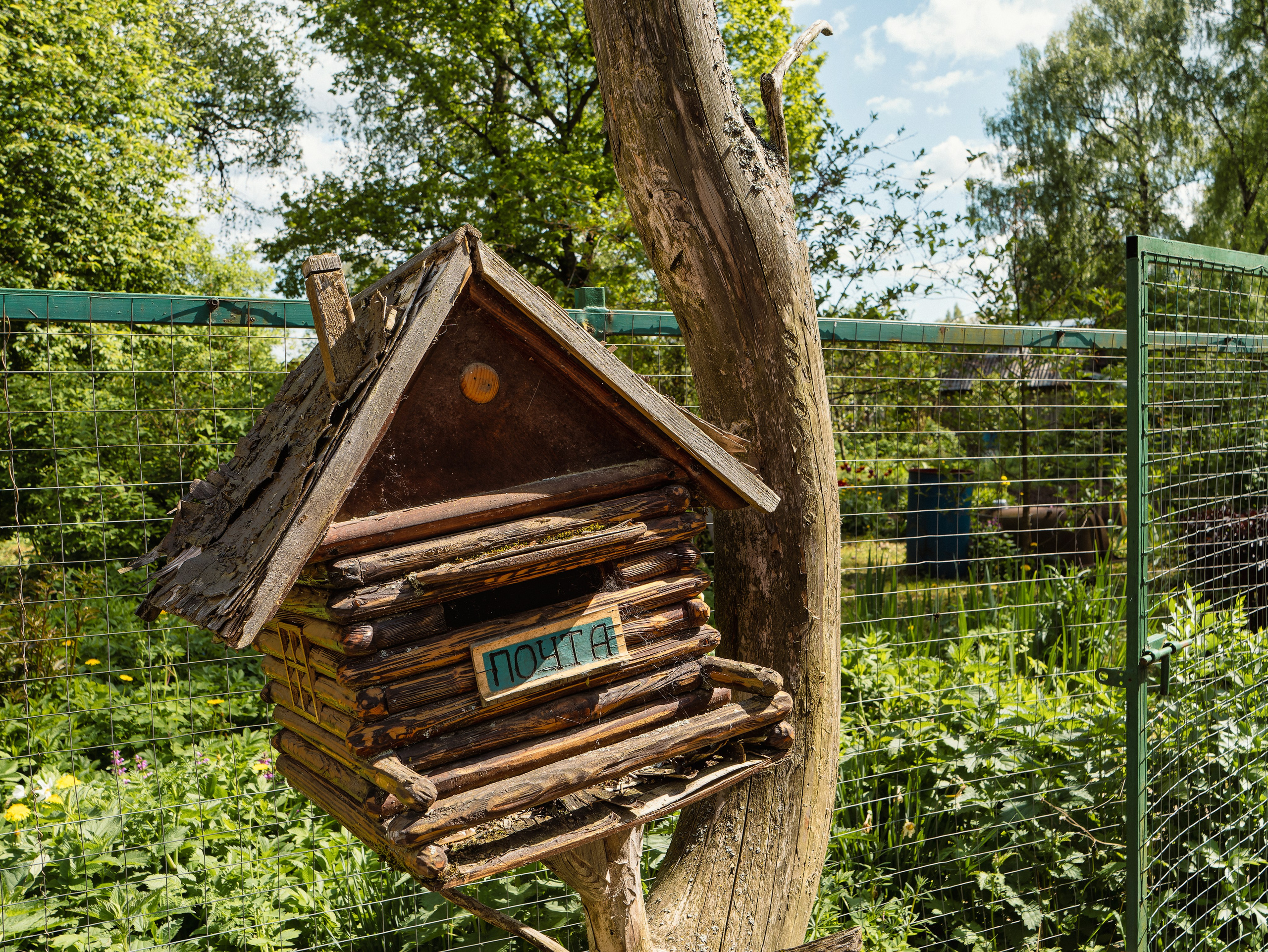 На берегу Угры. Конец мая 2024 года. Фотограф Никифоров-Гордеев Сергей. Москва и МО