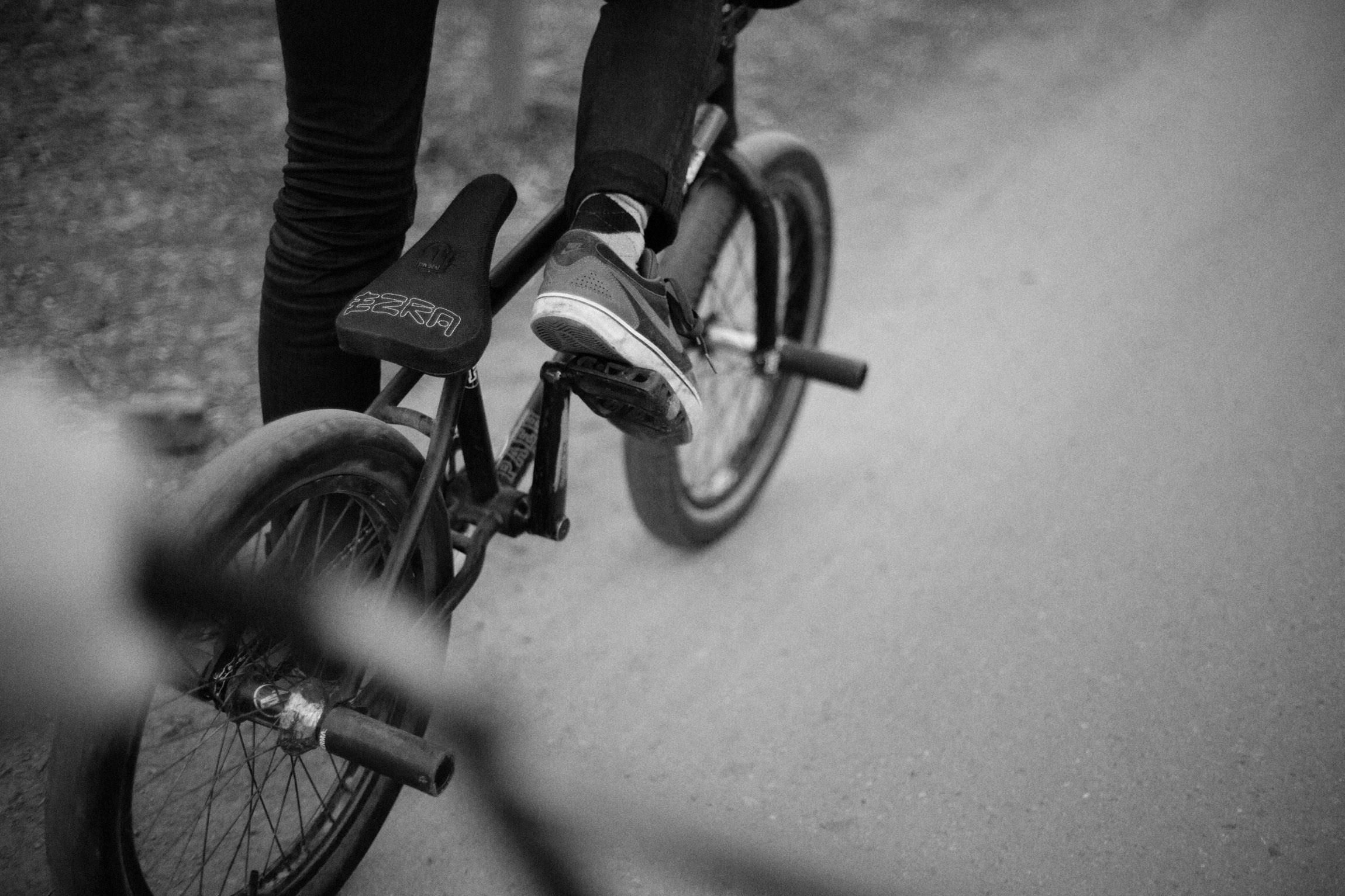 Lifestyle. Bivol images