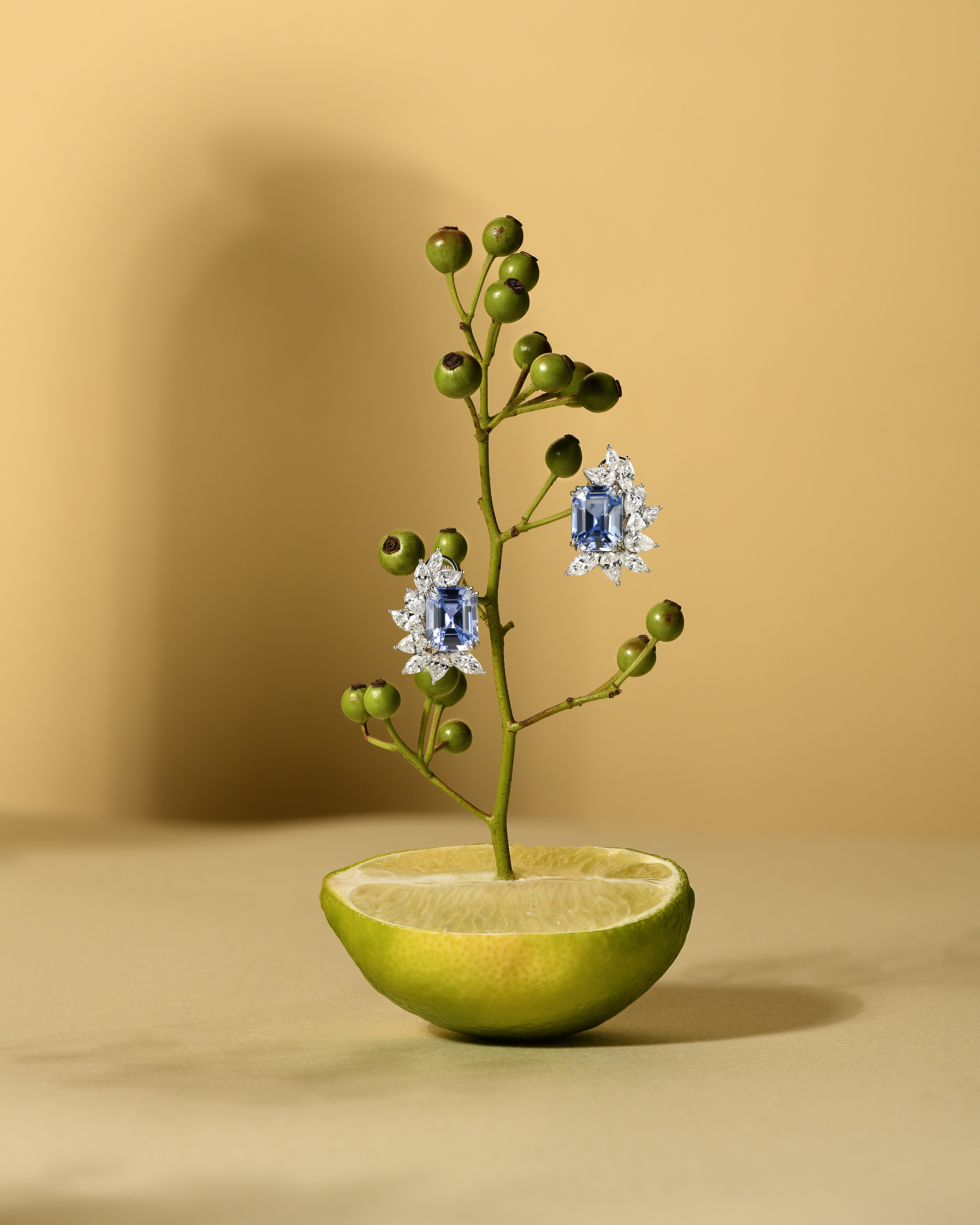 предметная фотосъемка ювелирки