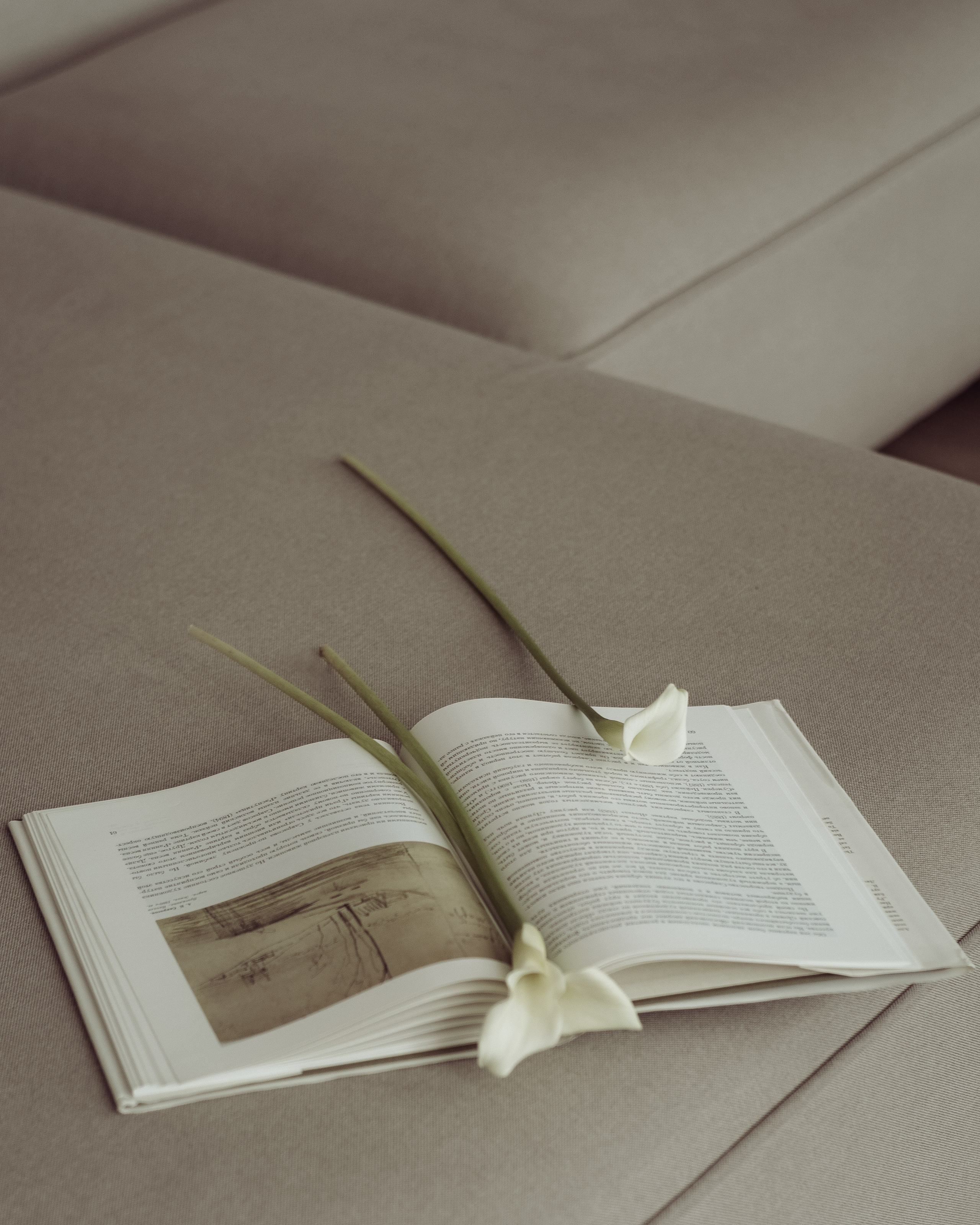 Татьяна. Фотограф Бойко Антонина