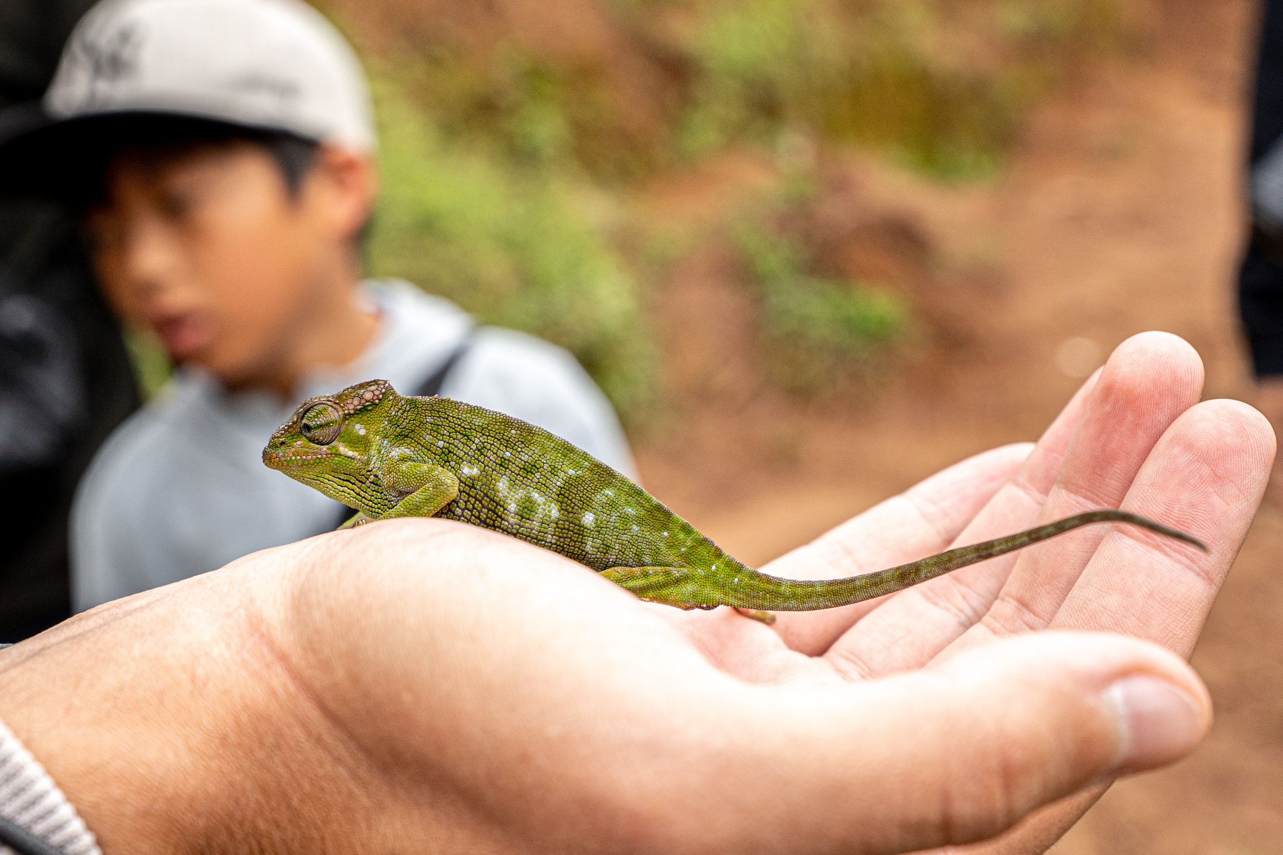 Танзания, сафари, 2025. Творческие сьемки