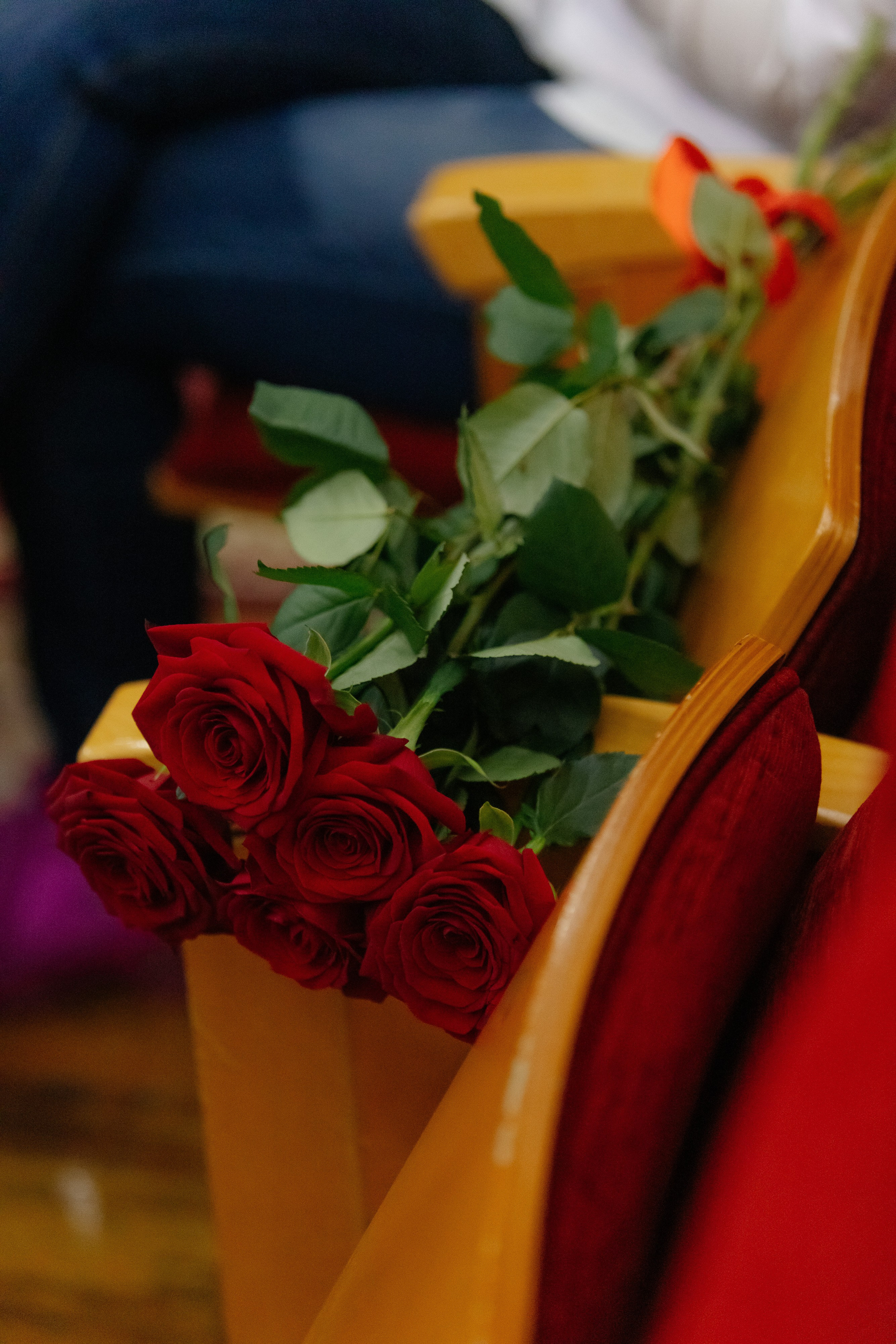 Концерт EMIN Ставрополь 30 Октября 2023. Фотограф Николай Петрушкин | Ставрополь, Москва