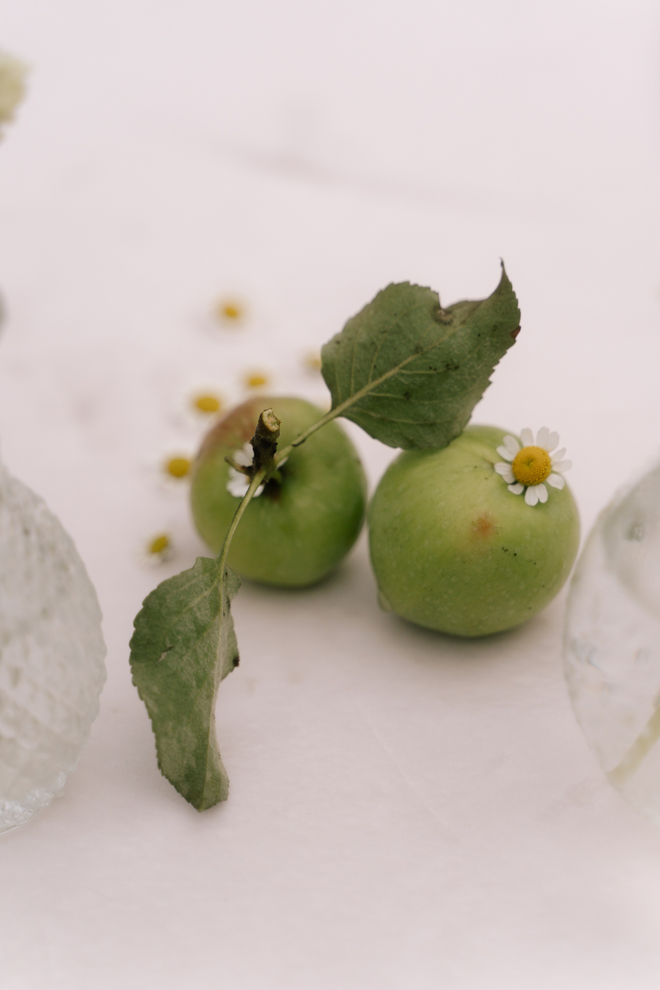 Вадим Александра. Свадебный фотограф Воронеж