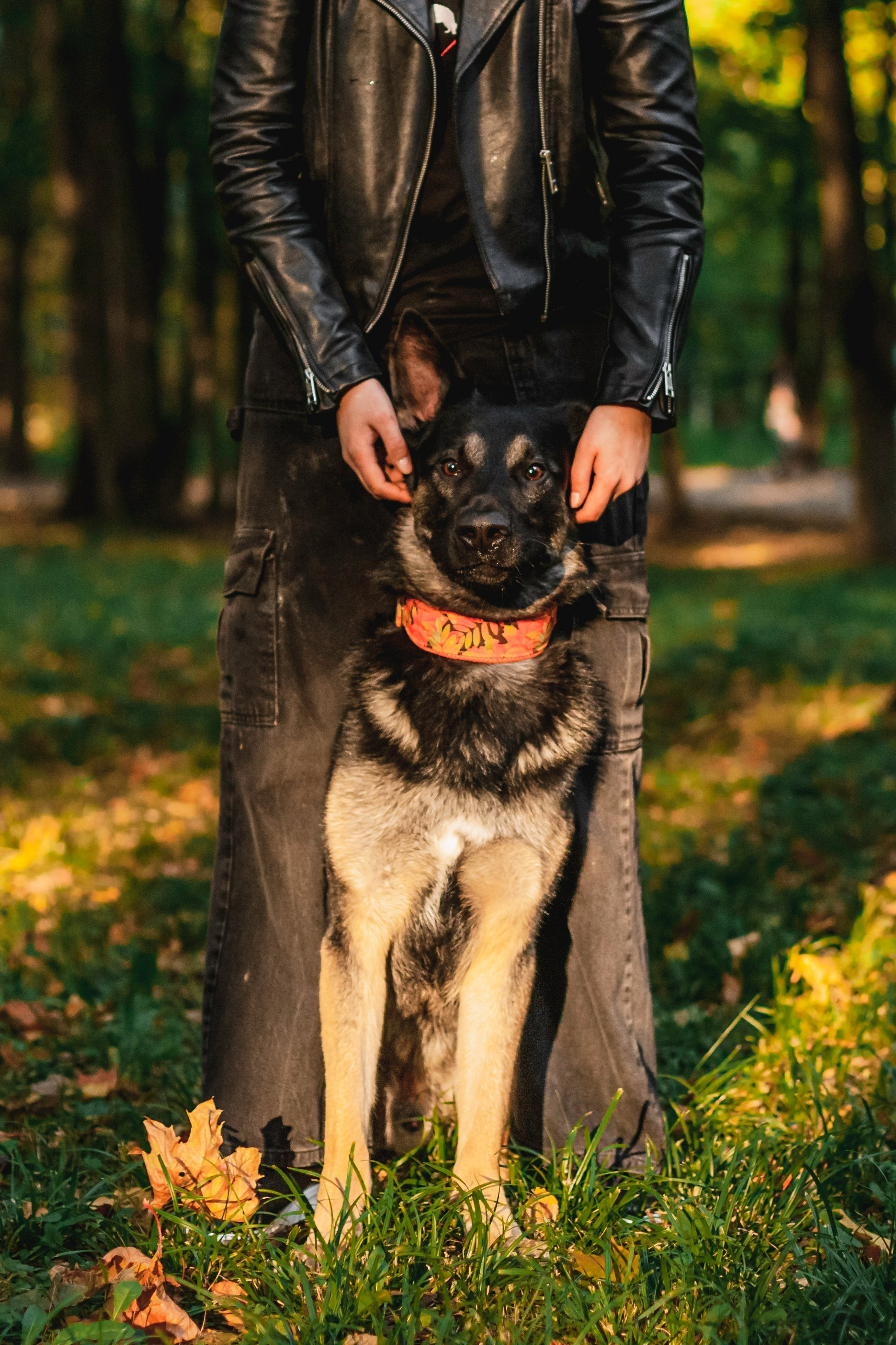 Илай. Фотограф-анималист Татьяна Степанова