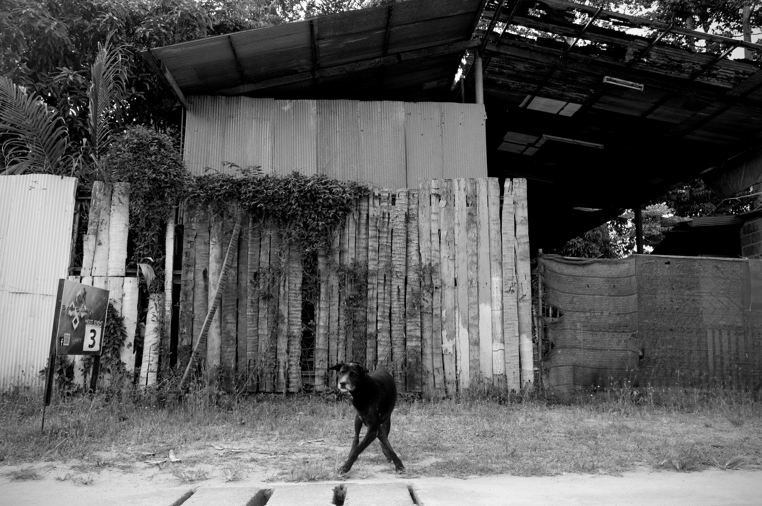 Street/ Thailand/ 2020. Anna Fedo Photo