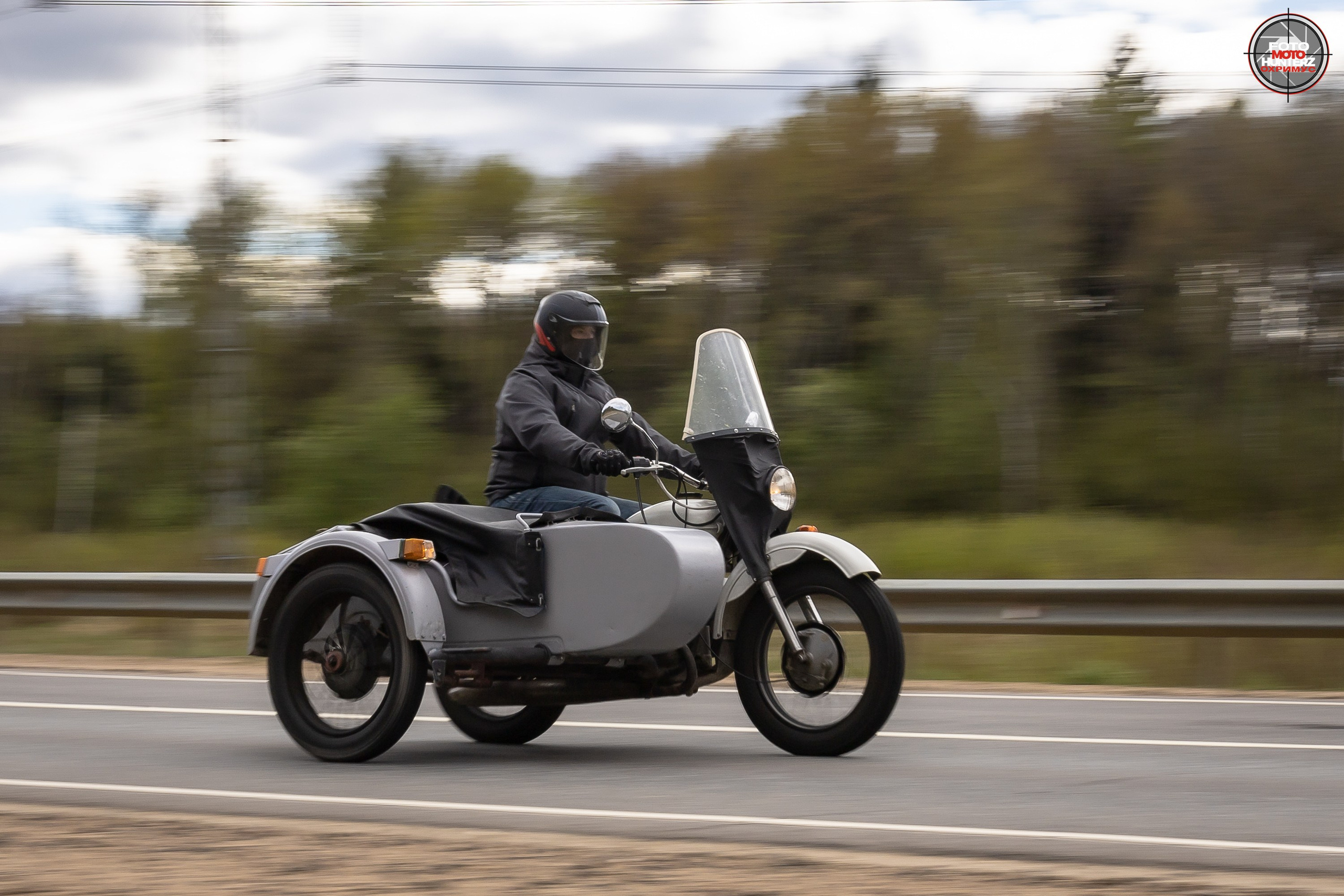 Первое Сафари в 2025 г. на Рогачевском ш. Фотограф Владимир Охрименко
