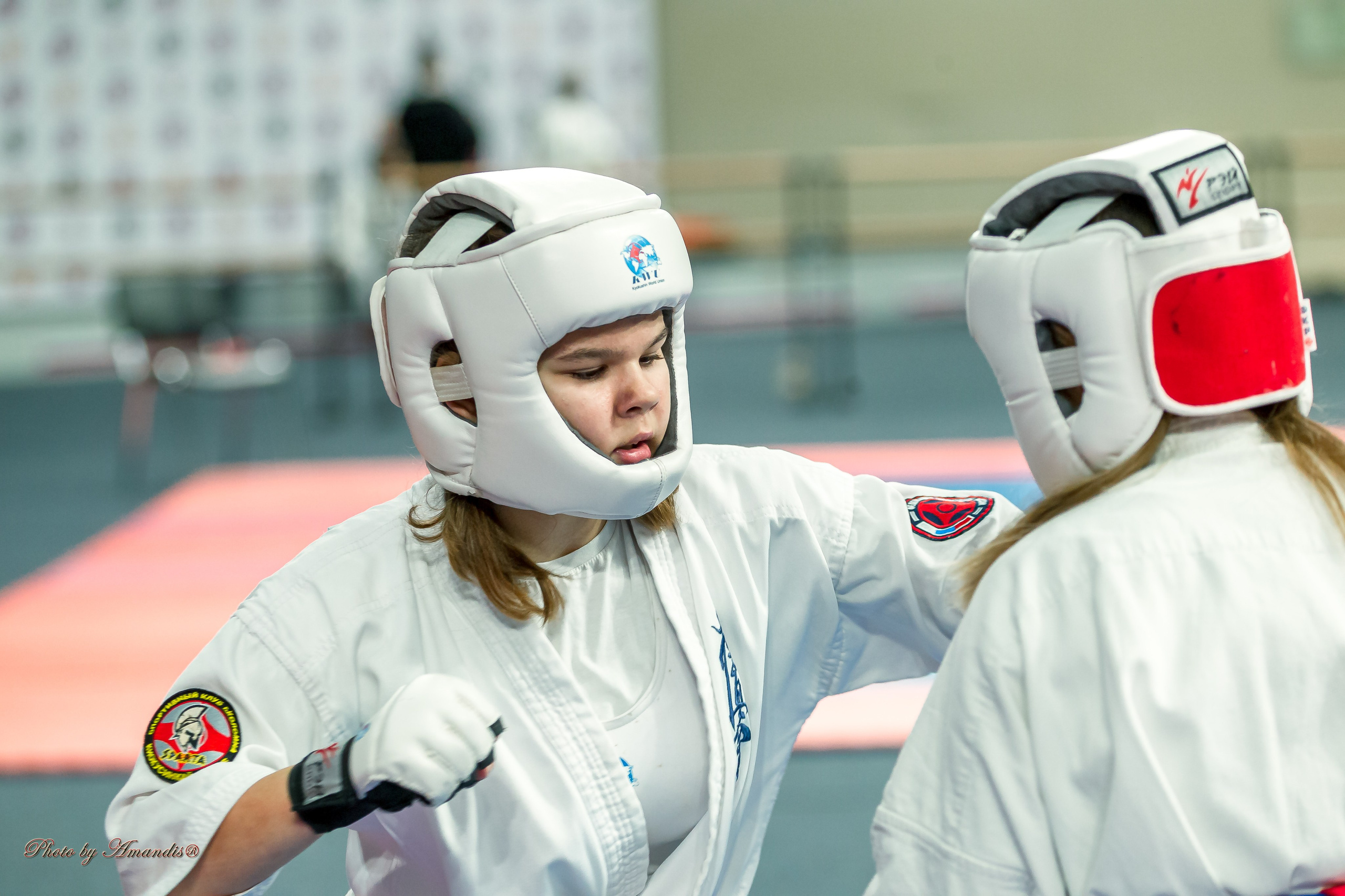 Первенство Московской области по Киокушин в СК «Жаворонки». Репортажная съемка в Москве и области. Анималистика