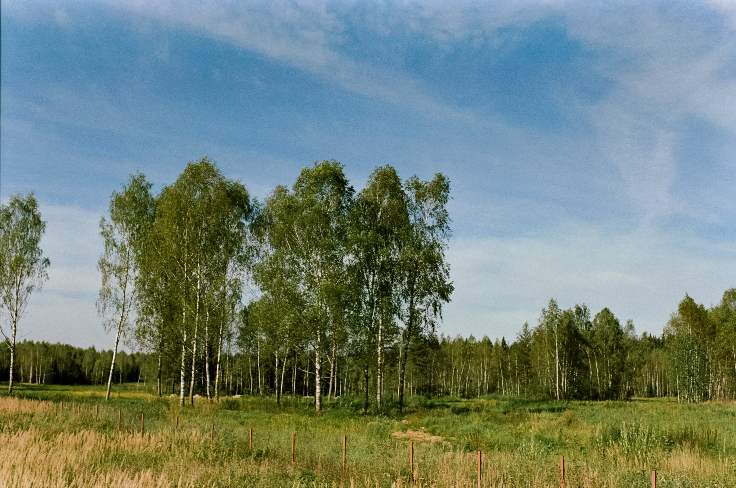 Mamiya 645 PRO обзор и примеры фотографий