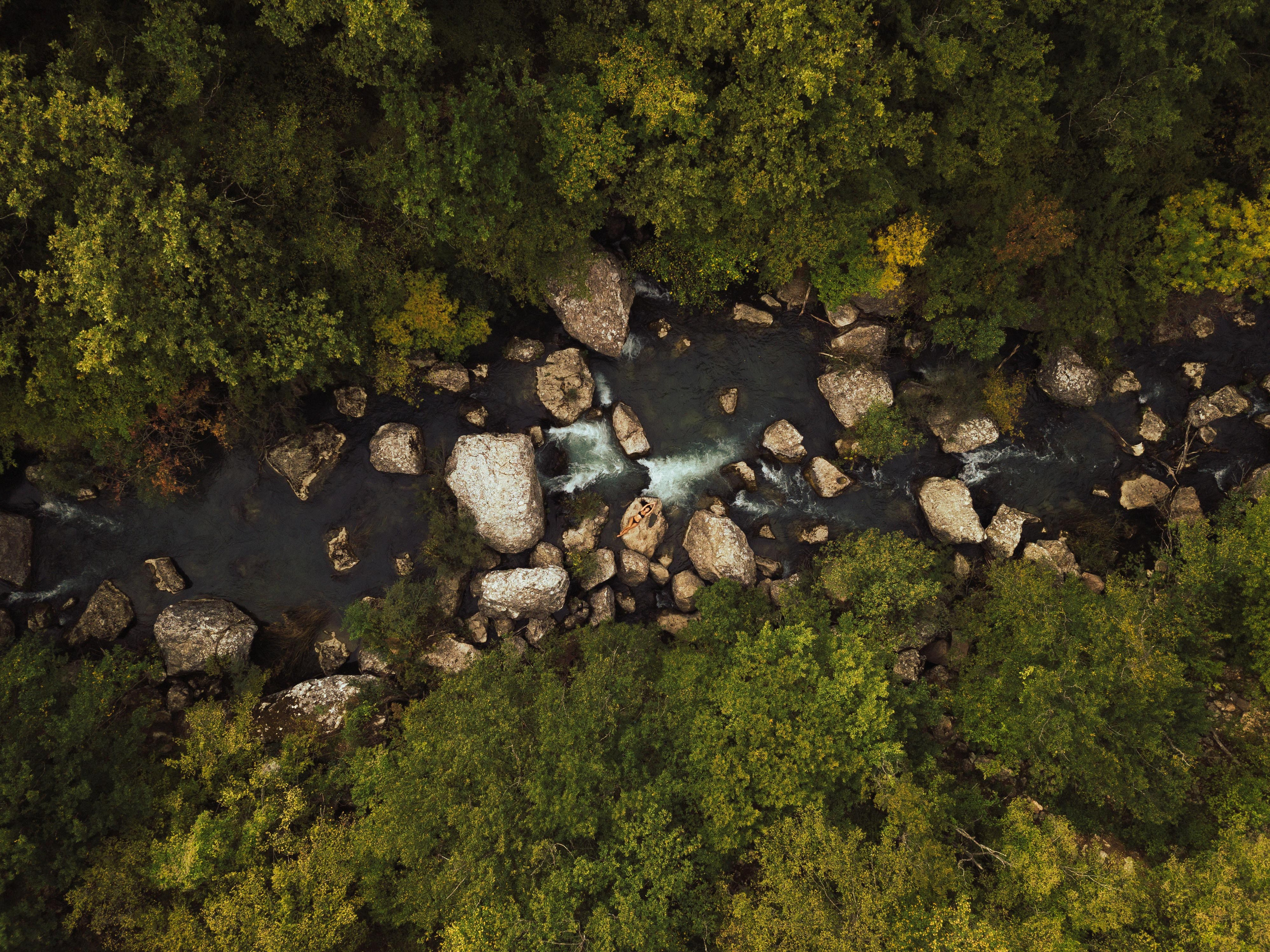 Крымские джунгли. Семен Соколов