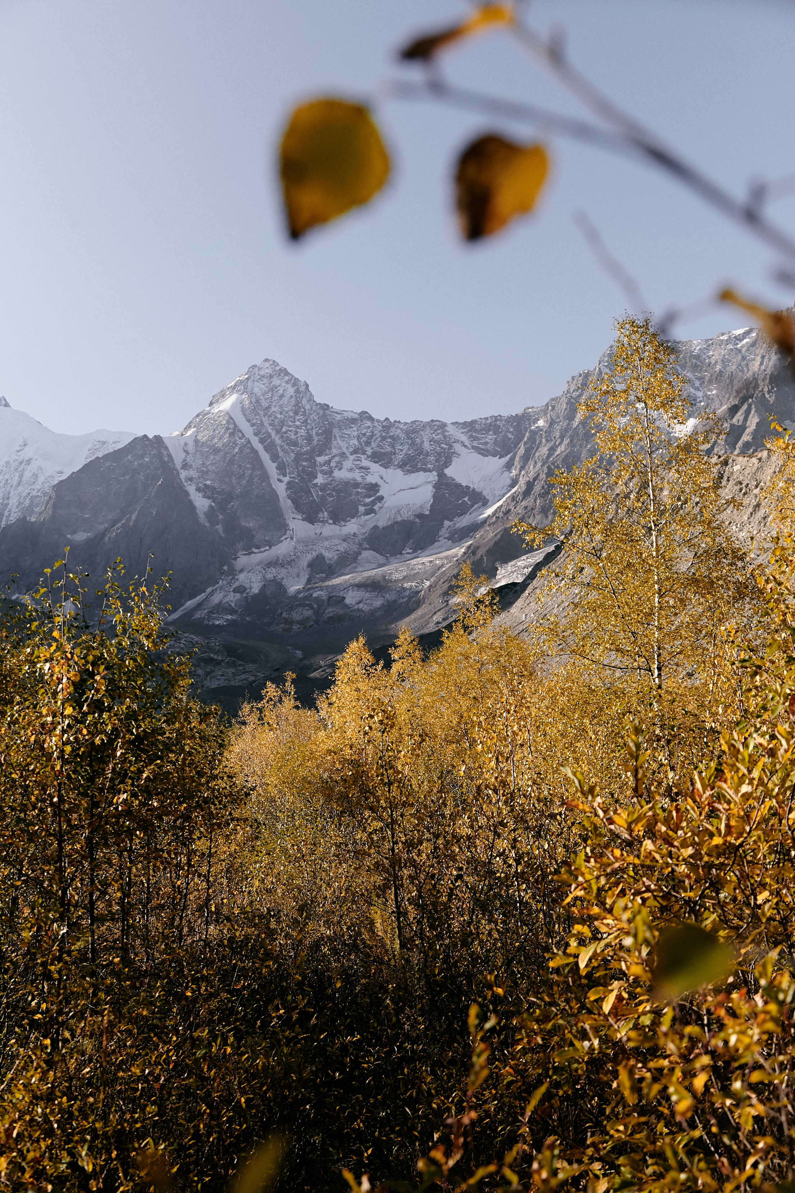 Чегем, дорога к леднику Шаурту. Фотограф Продюсер в горах КБР / Москва  Нальчик Горы
