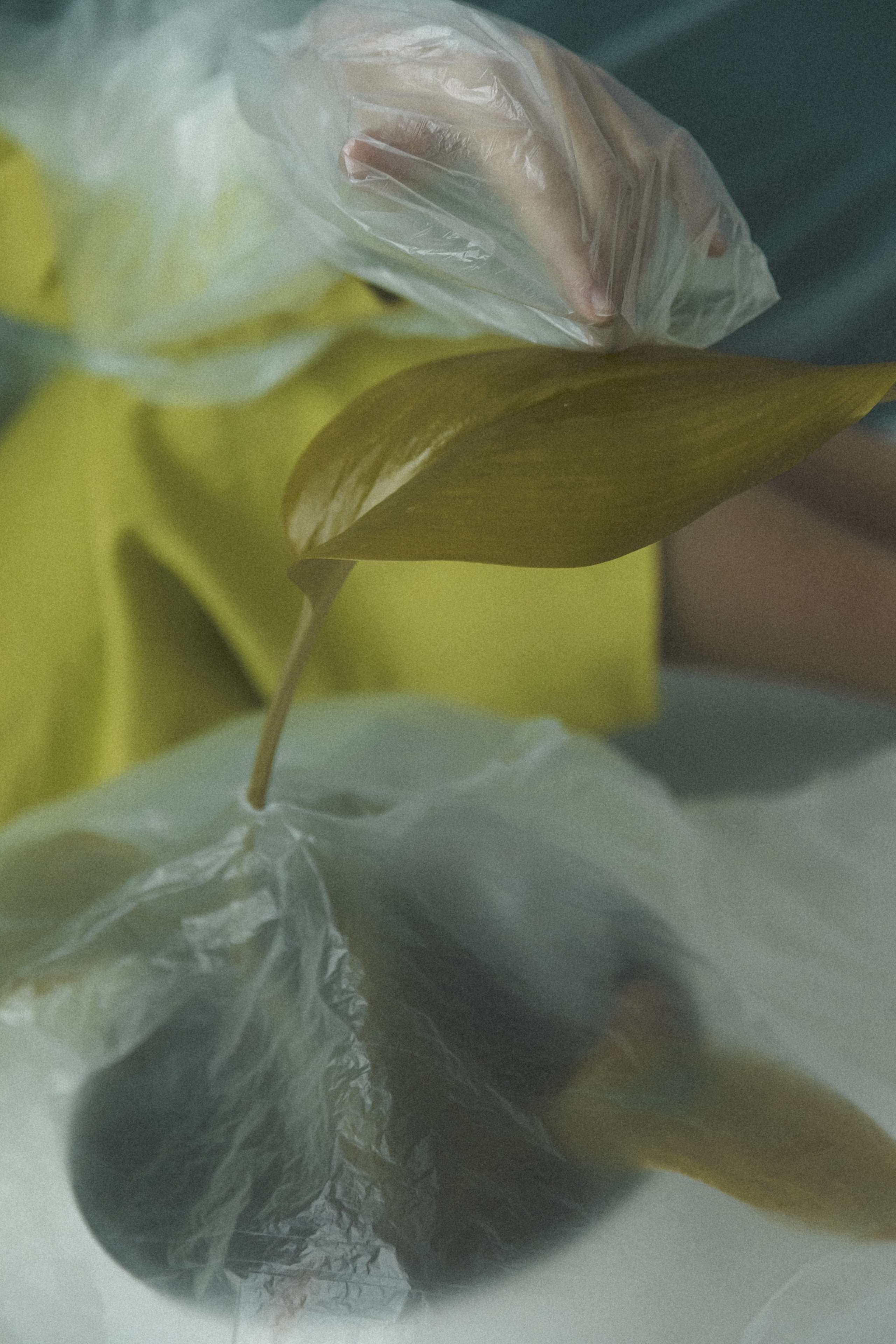 P L A S T I C. Свадебный фотограф Колесников Антон