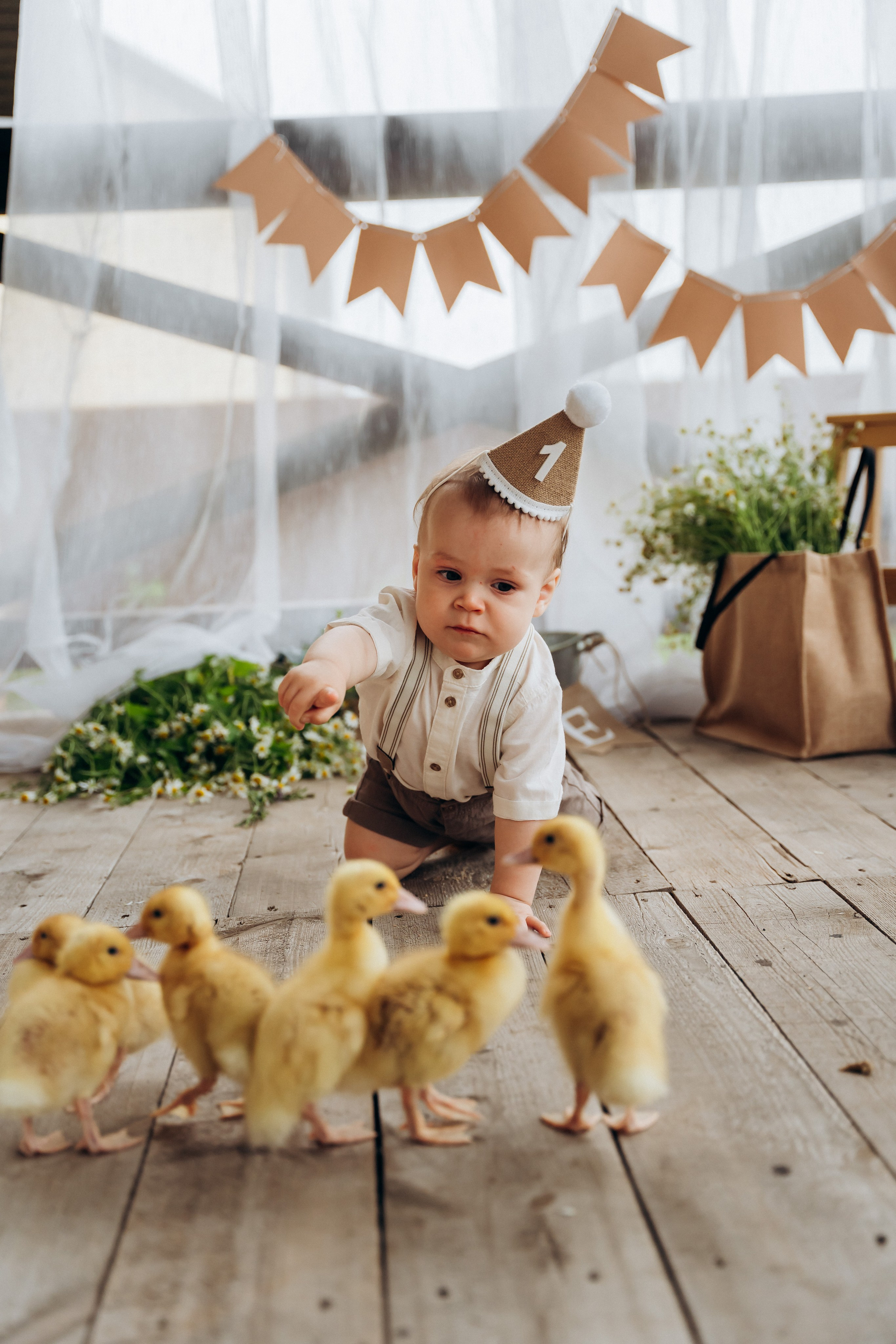 Утята. Главная