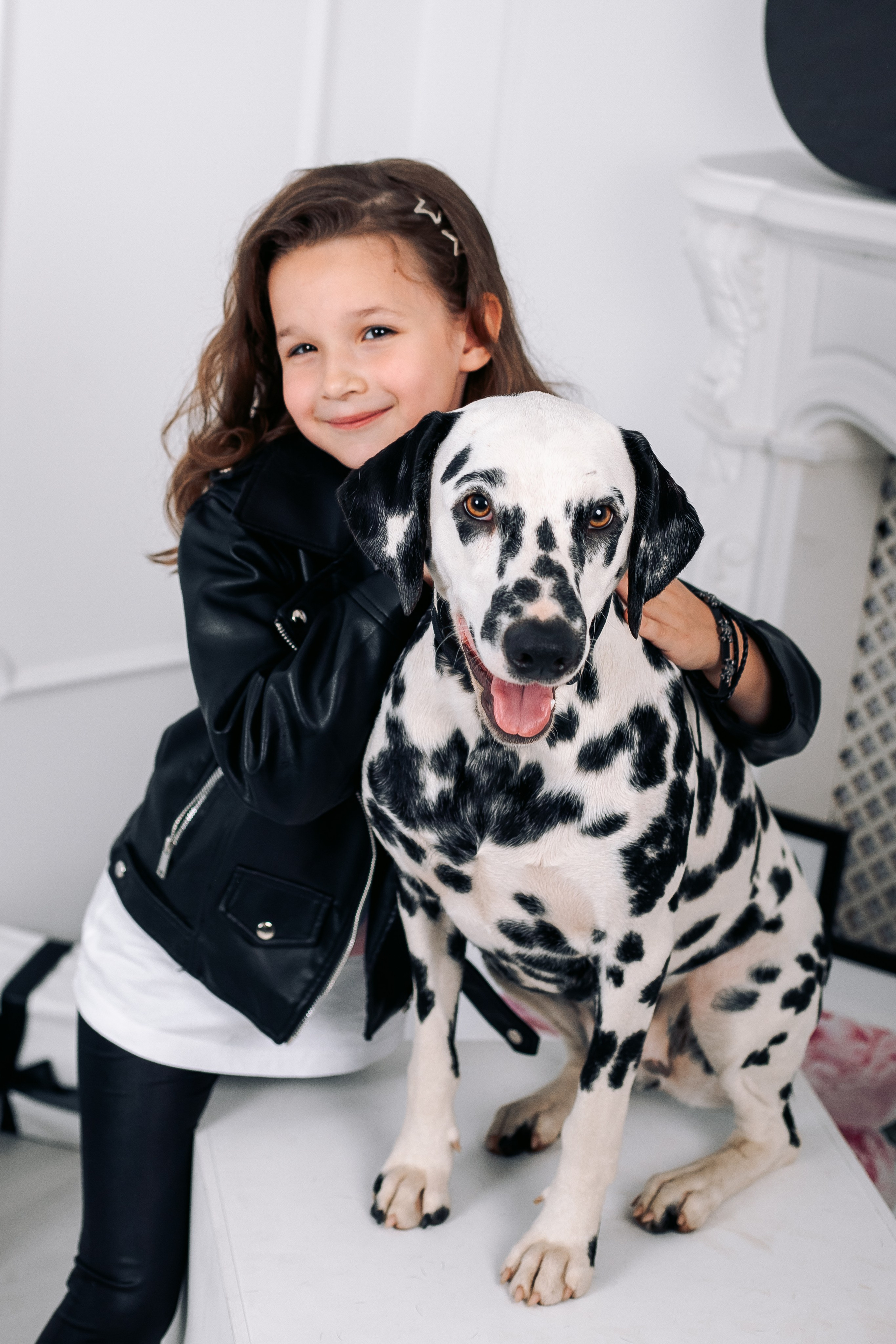 Фотосессия с далматинцами в фотостудии. Фотограф в Санкт-Петербурге, Анна Скворцова