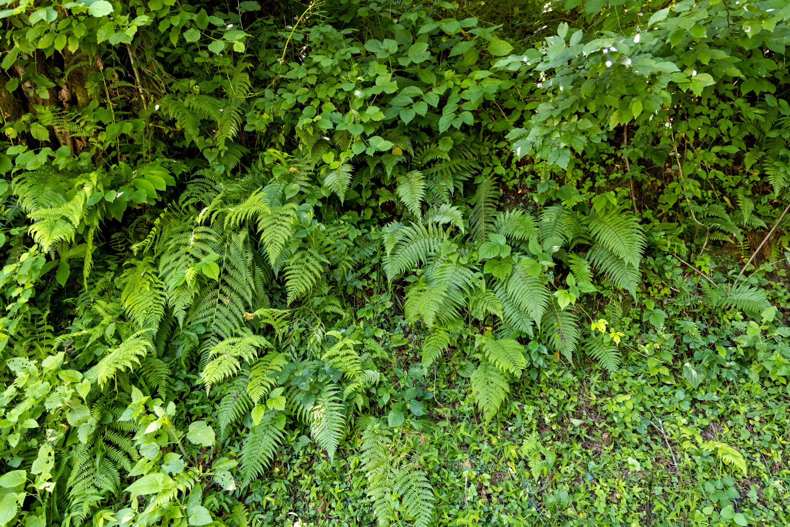 Сочи. Солох Аул. Репортажный, семейный и студийный фотограф в Москве Демин Алексей