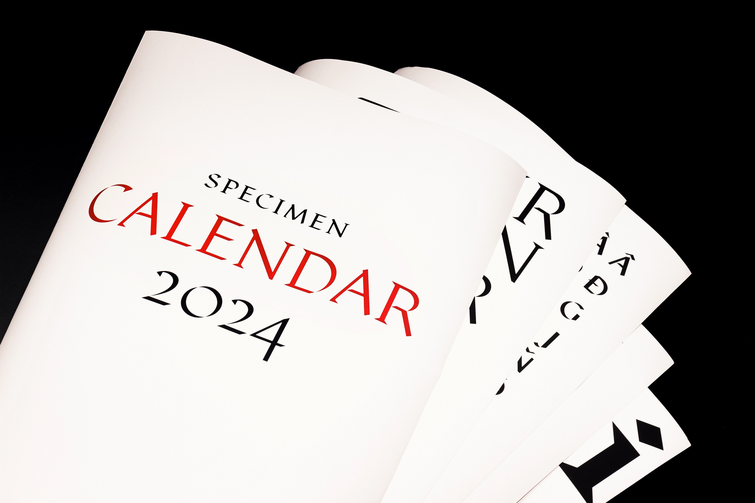 Интерьерные съемки. DIESPERADOSS photo