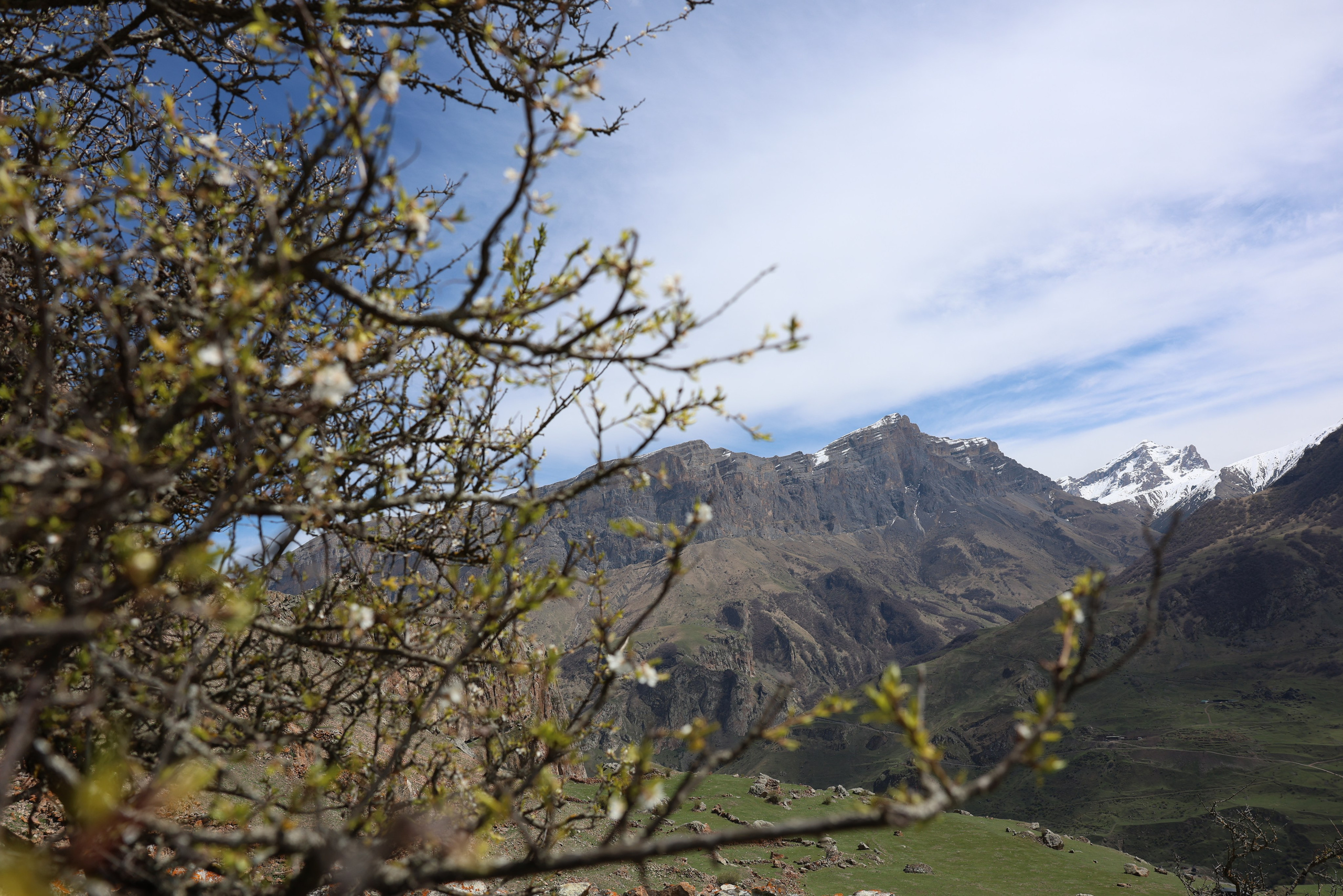 Фотограф Мария Алексеева. Мария Алексеева. Фотограф в Москве