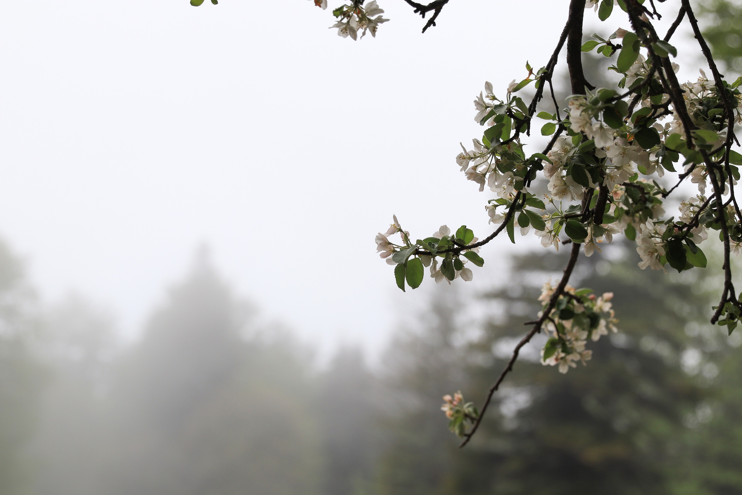 Фотограф Мария Алексеева. Мария Алексеева. Фотограф в Москве