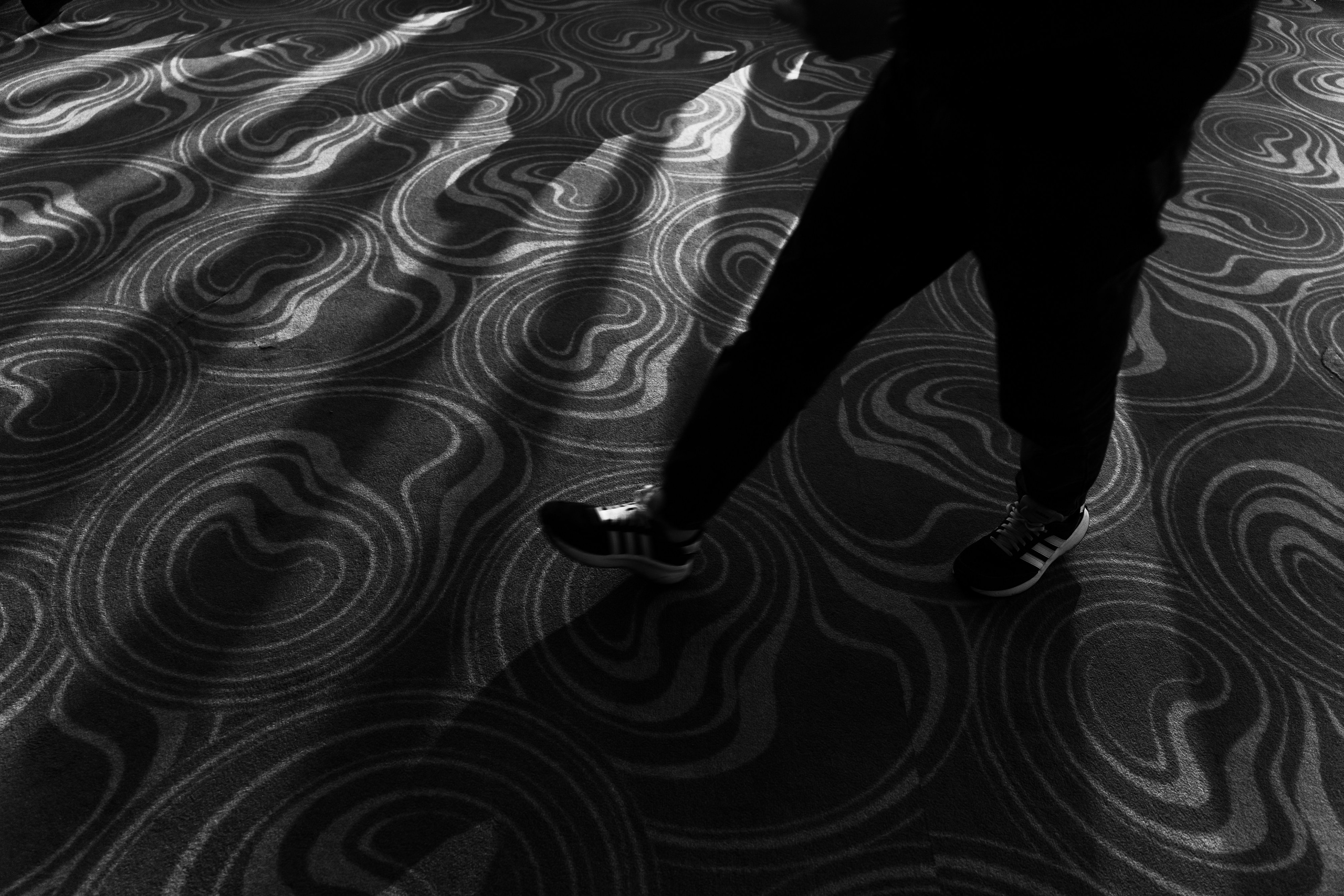 АтомПрофи, Сочи. Фотограф в Москве и России