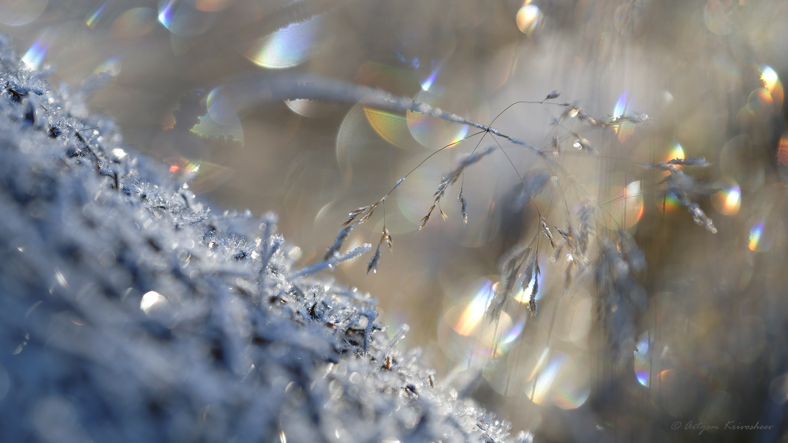 Природа. Фотограф и путешественник Артём Кривошеев