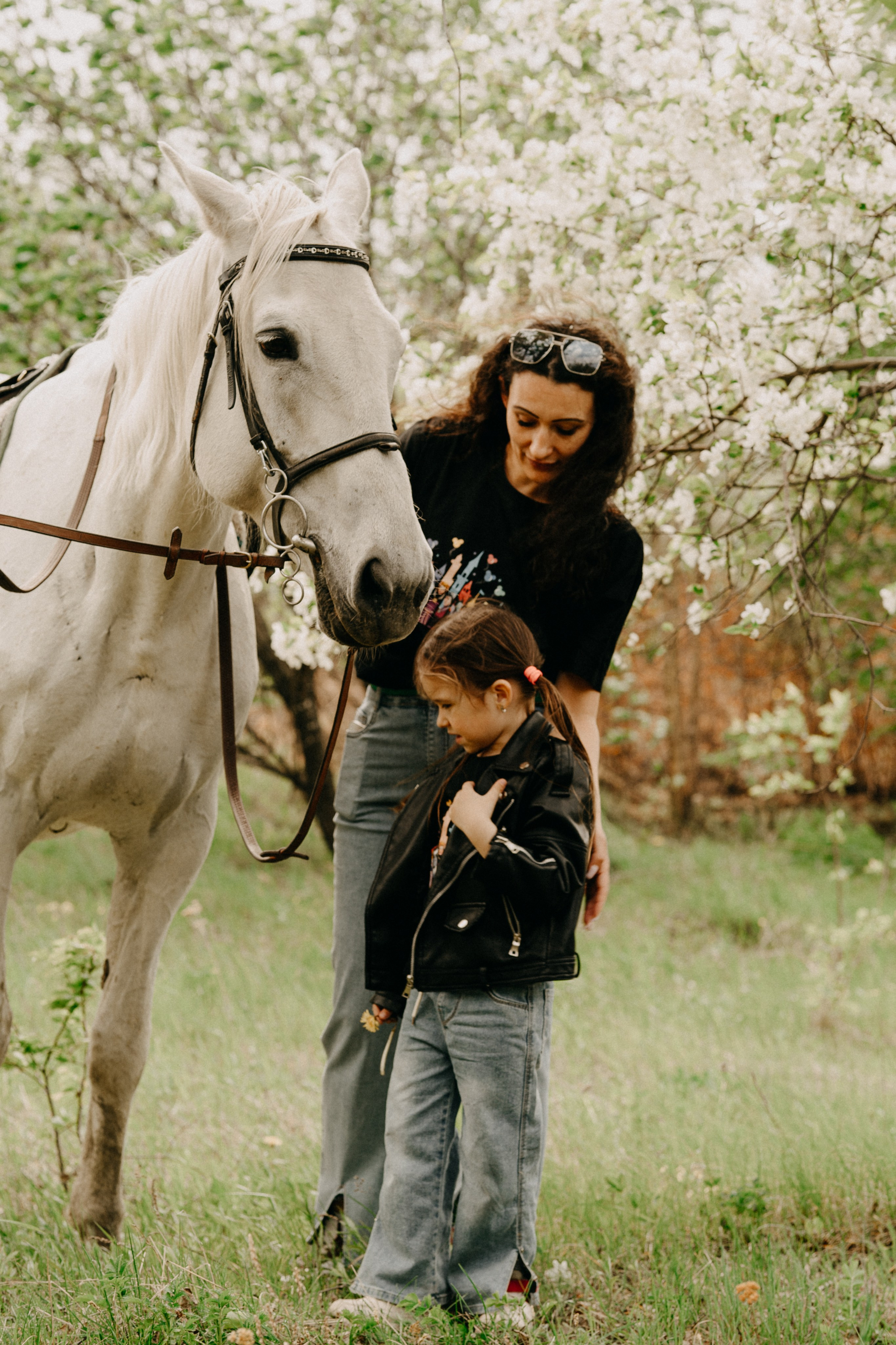 С лошадьми. Главная