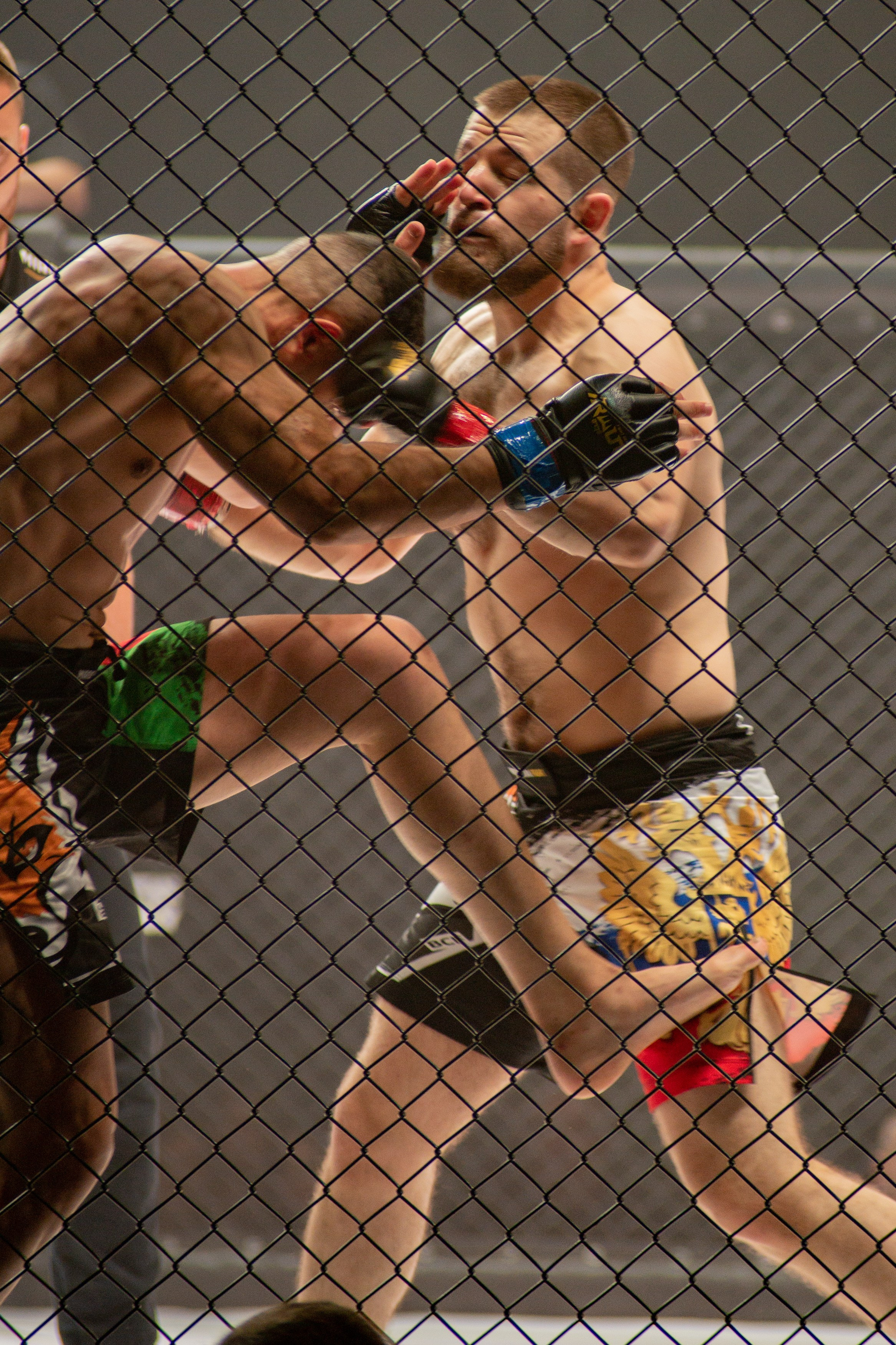 Miroslava Fight